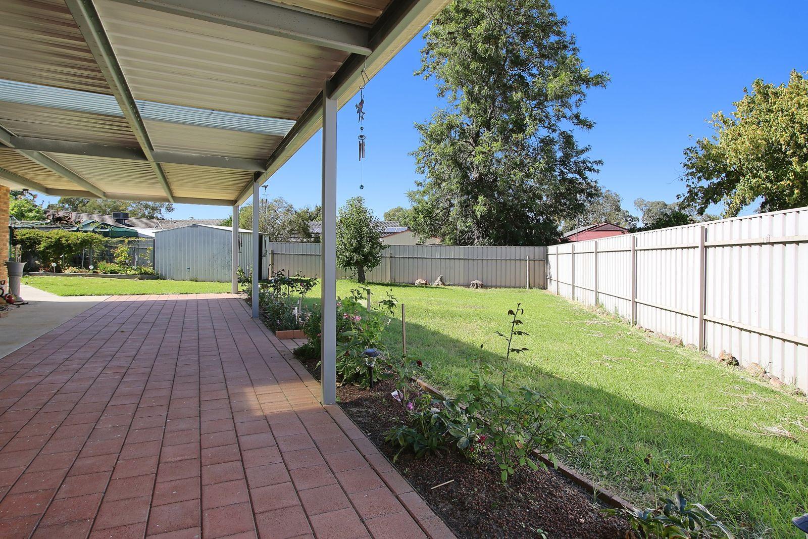 Dazzling Darri Drive!