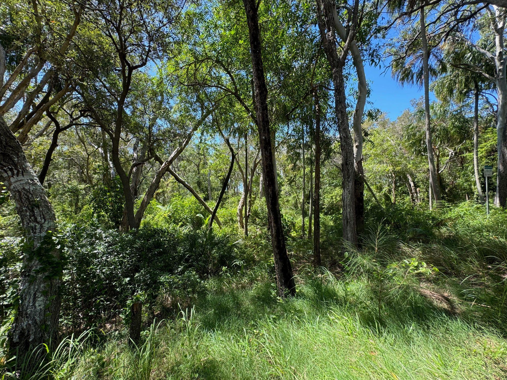 House for Rent: Tinnanbar, QLD 4650, QLD, 4650