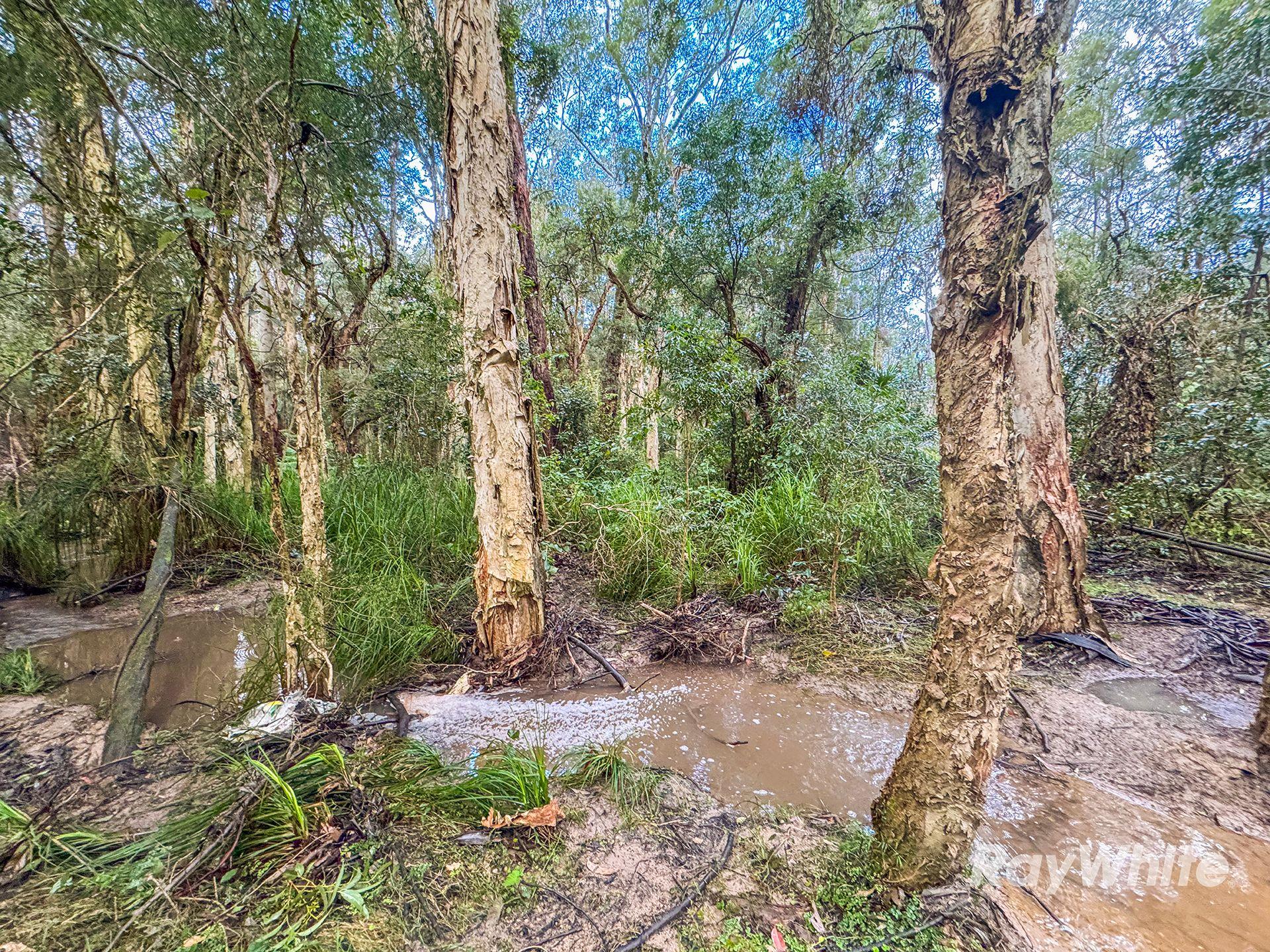 Other for Rent: West Wallsend, NSW 2286, NSW, 2286