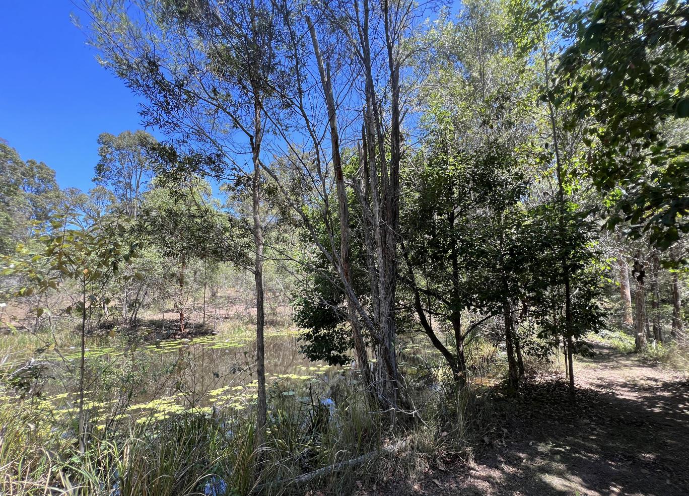 House for Rent: Veteran, QLD 4570, QLD, 4570