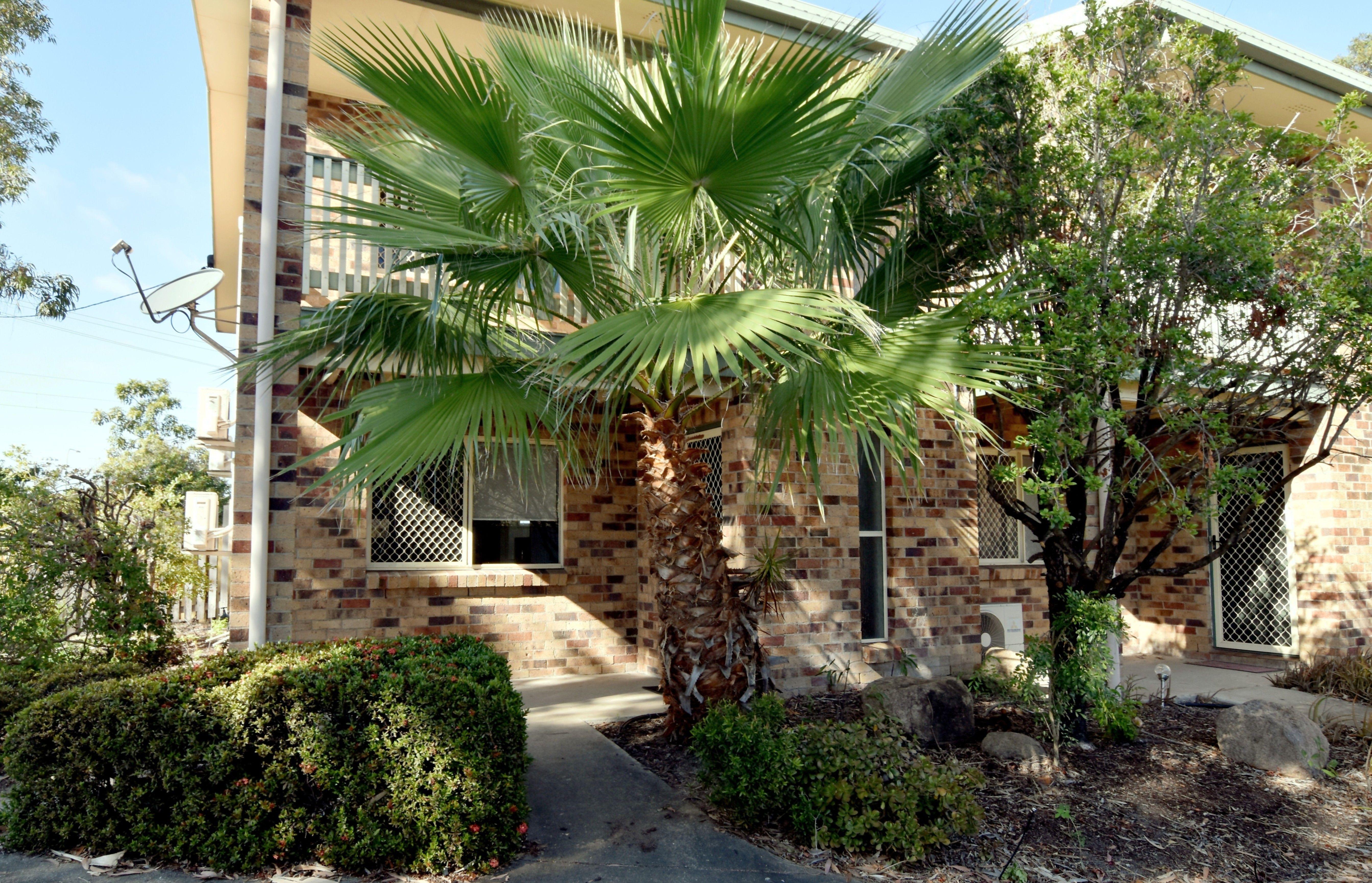 Unit for Rent: West Gladstone, QLD 4680, QLD, 4680
