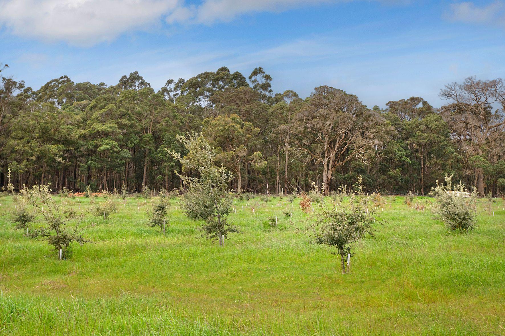 Dragonfly Escape - A Rare Lifestyle & Truffle Investment in the Heart of Margaret River