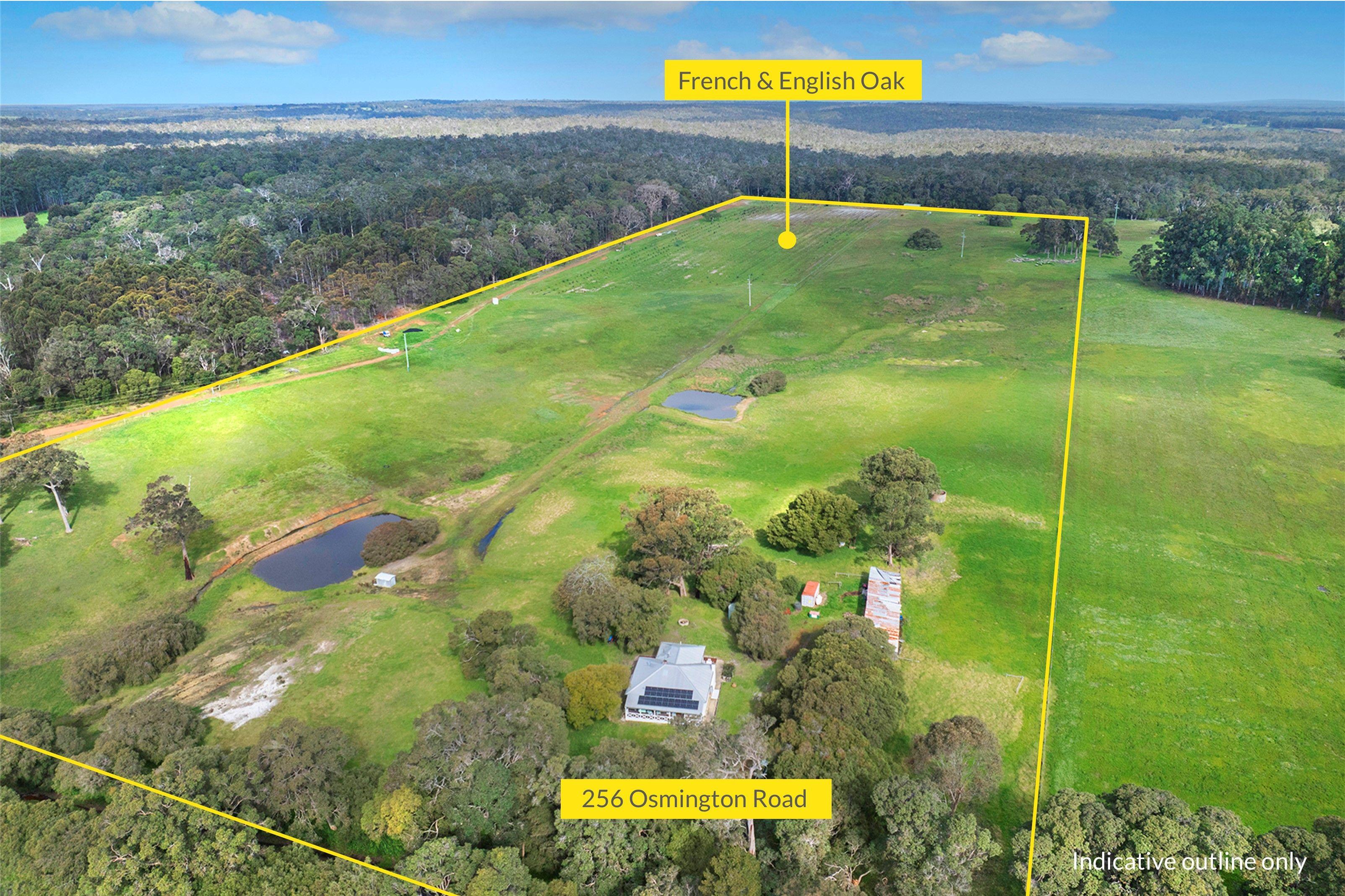 Dragonfly Escape - A Rare Lifestyle & Truffle Investment in the Heart of Margaret River