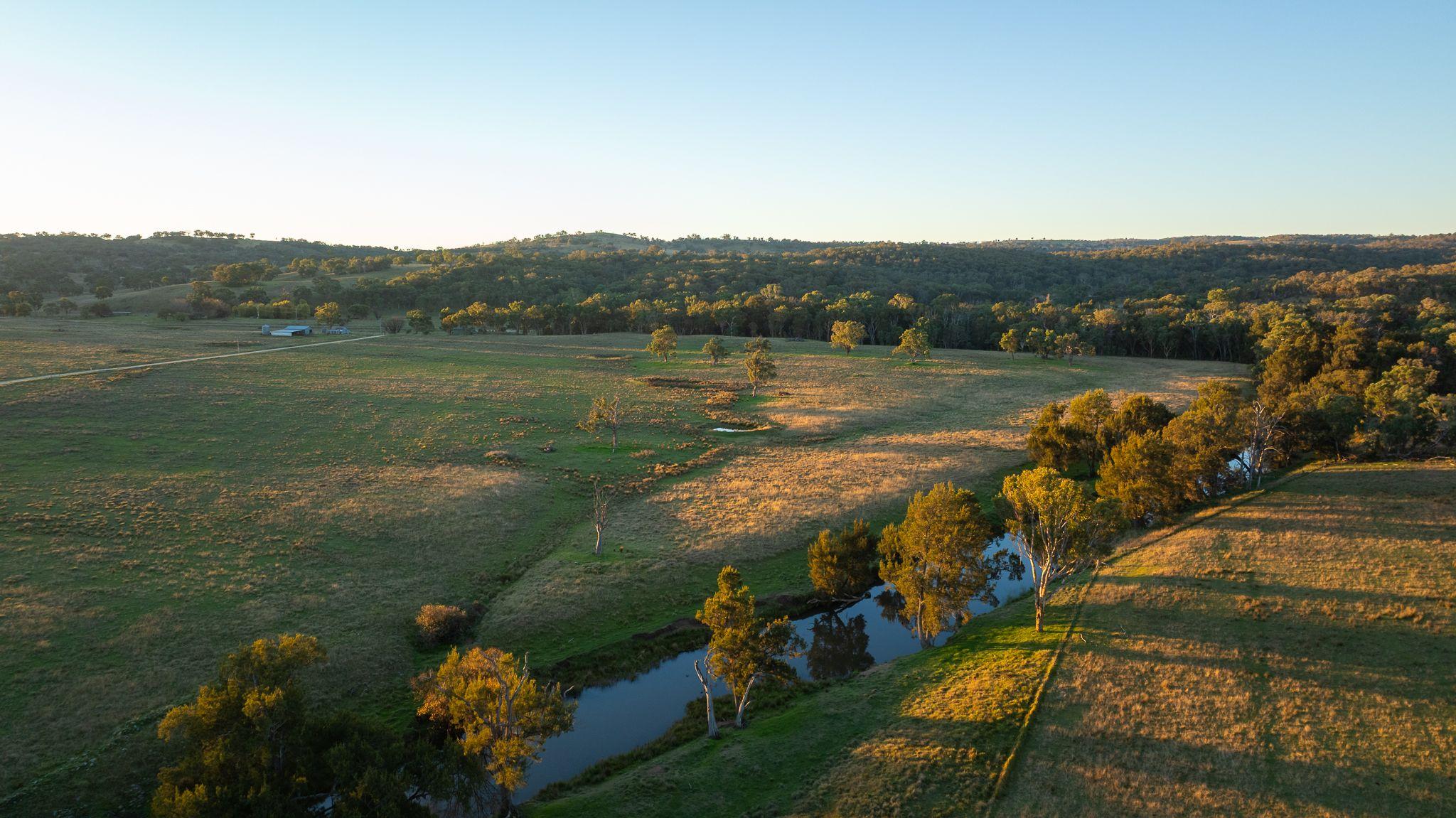 Prop-GPT: Mixed Farming: NSW South Guyra, NSW 2365 Rural
