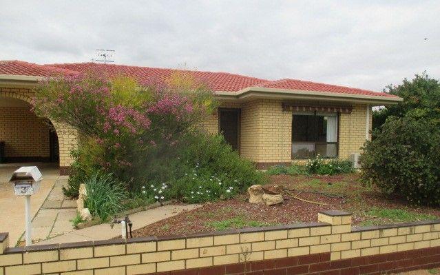 Prop-GPT: House: SA Loxton, SA 5333 Home For Rent
