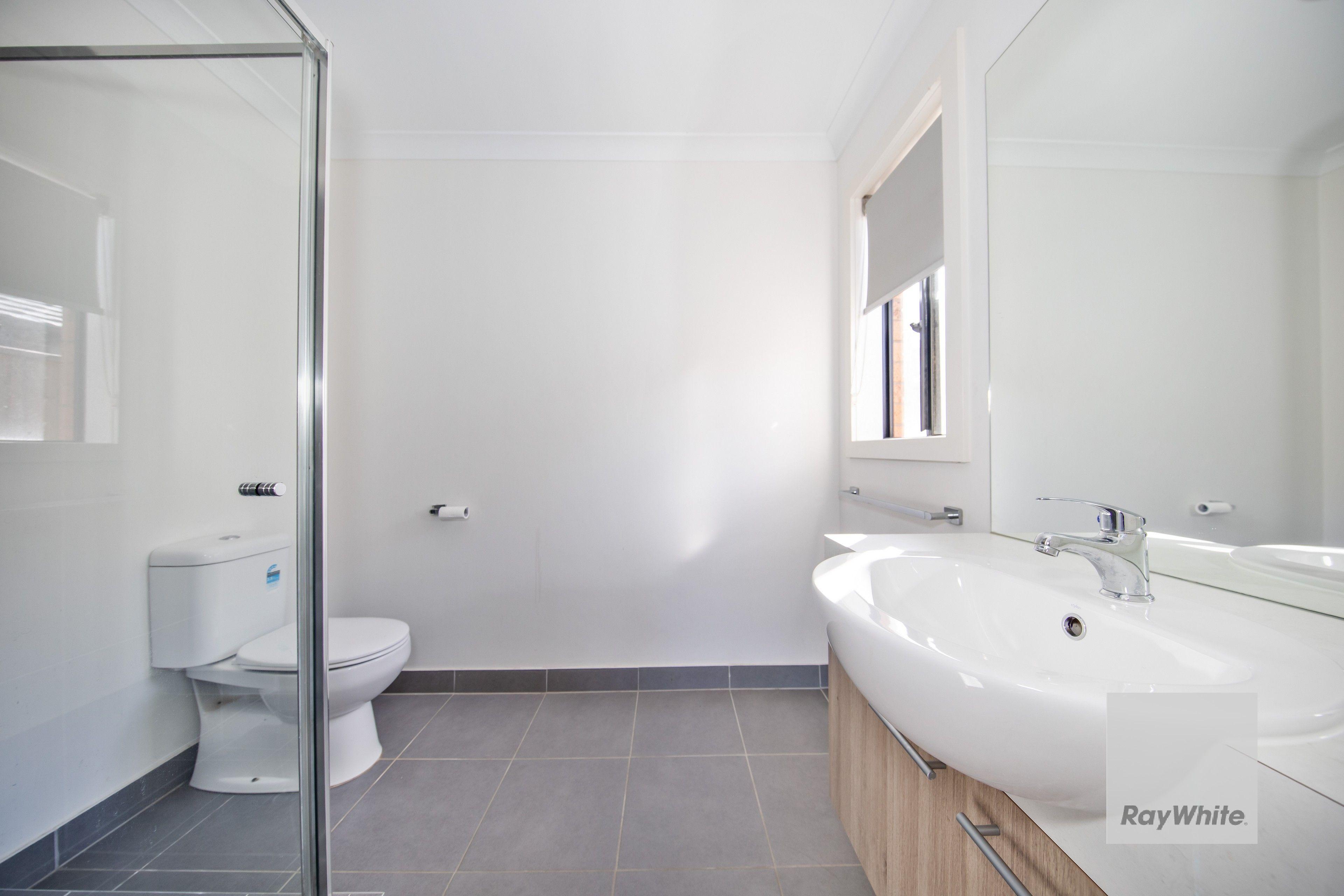 Your Search is Over!