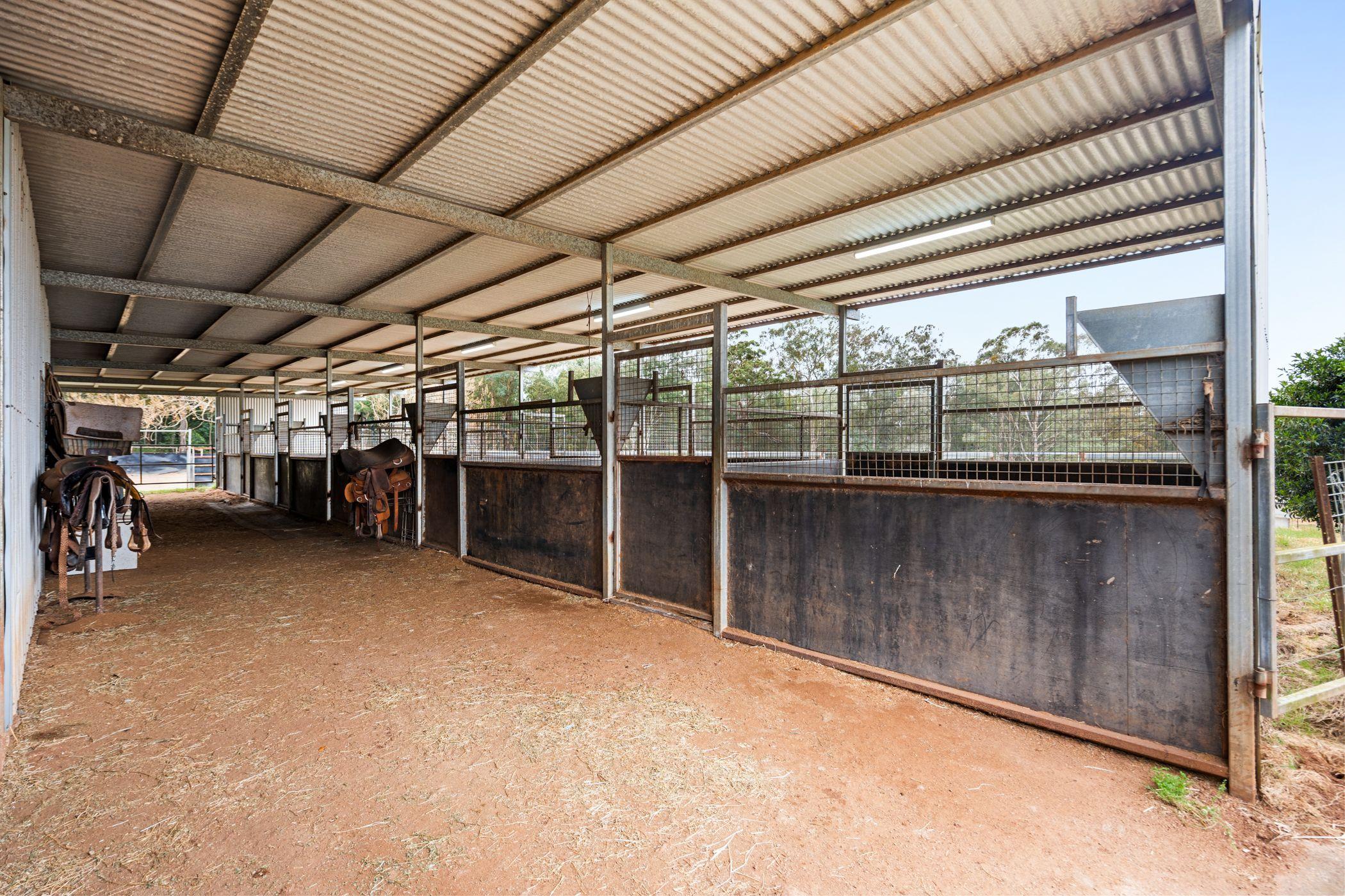 'Mountain View' - It's All About Your Horses!