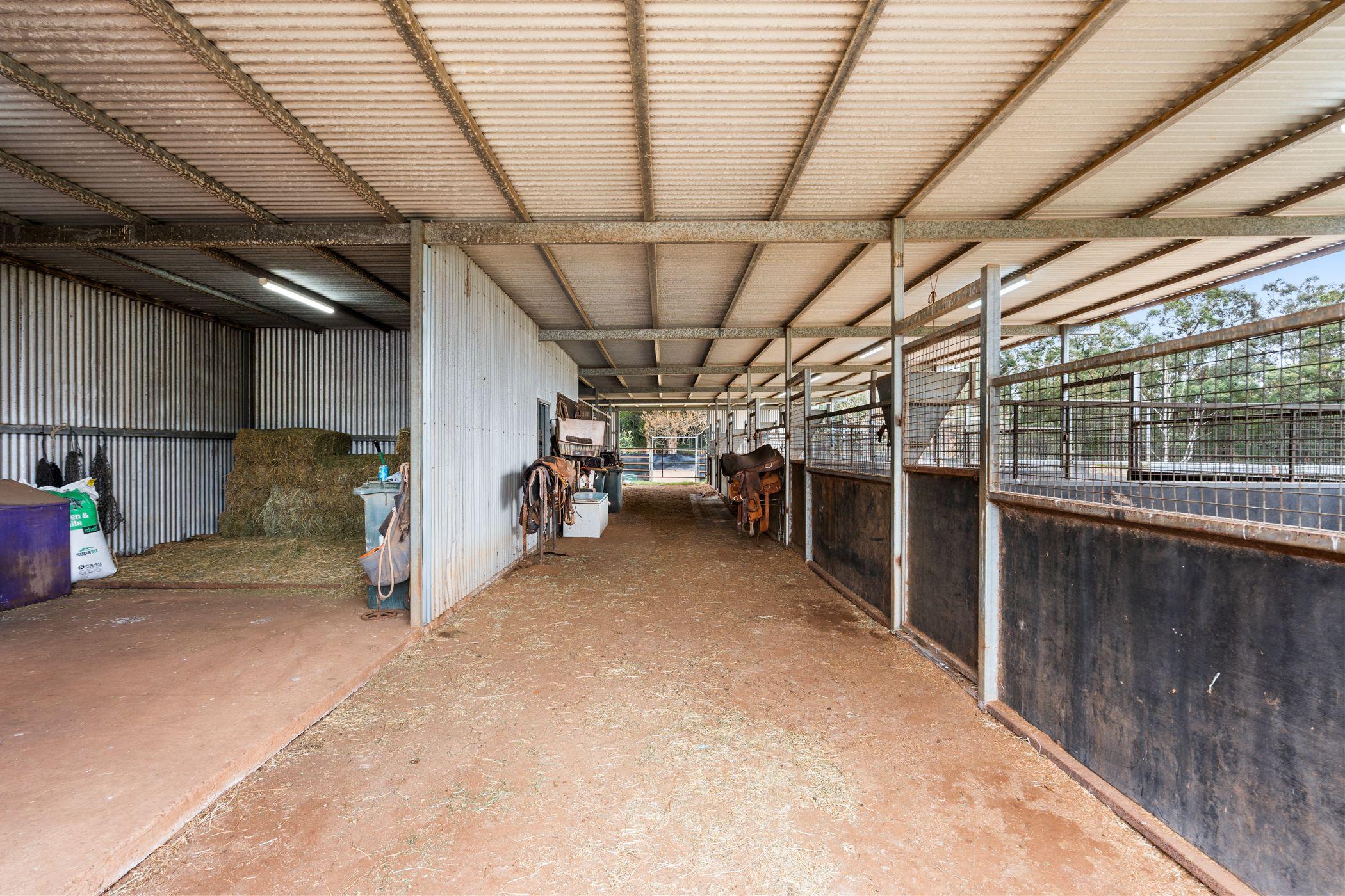 'Mountain View' - It's All About Your Horses!