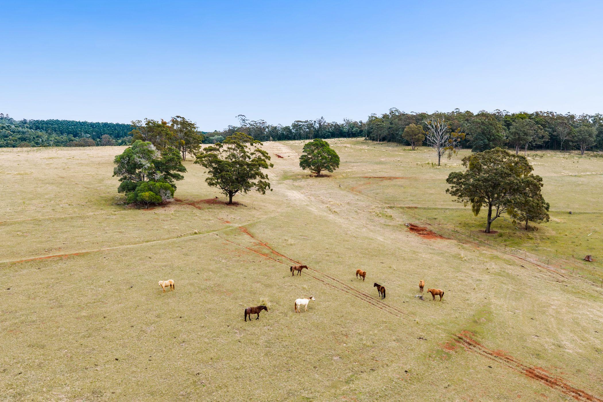 'Mountain View' - It's All About Your Horses!