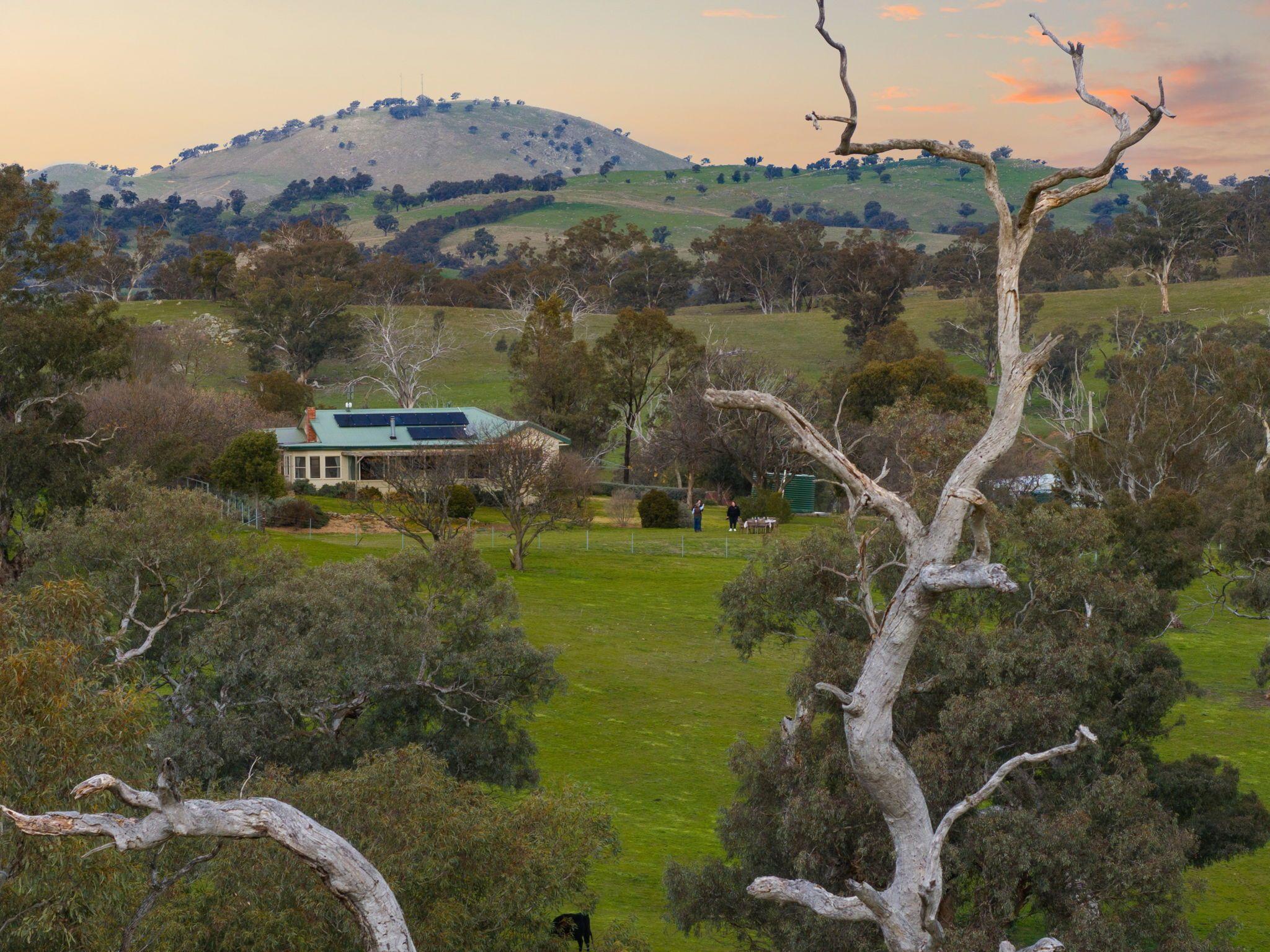 Rare 192* Acre Pocket of Paradise on Jugiong Creek
