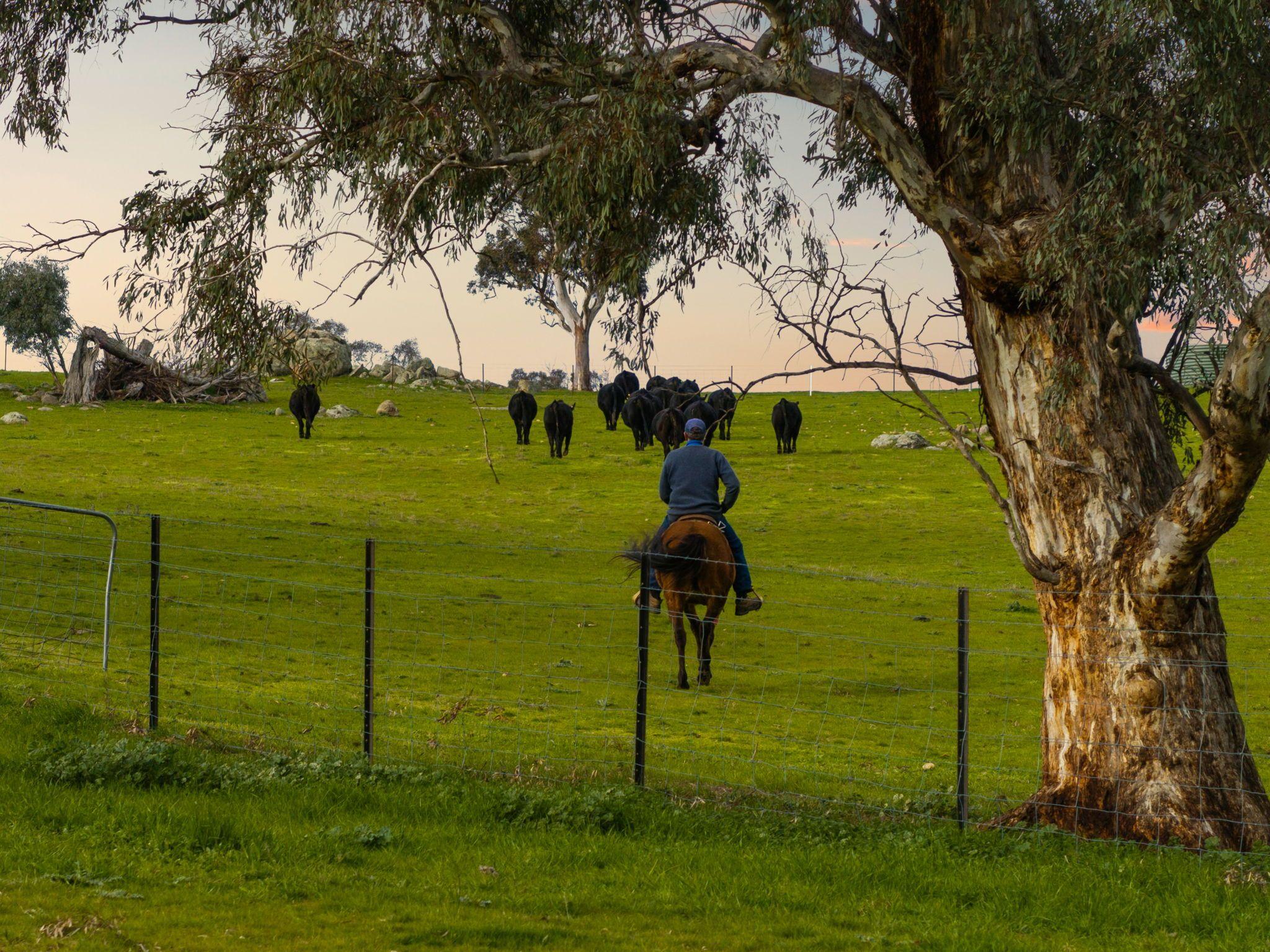 Rare 192* Acre Pocket of Paradise on Jugiong Creek