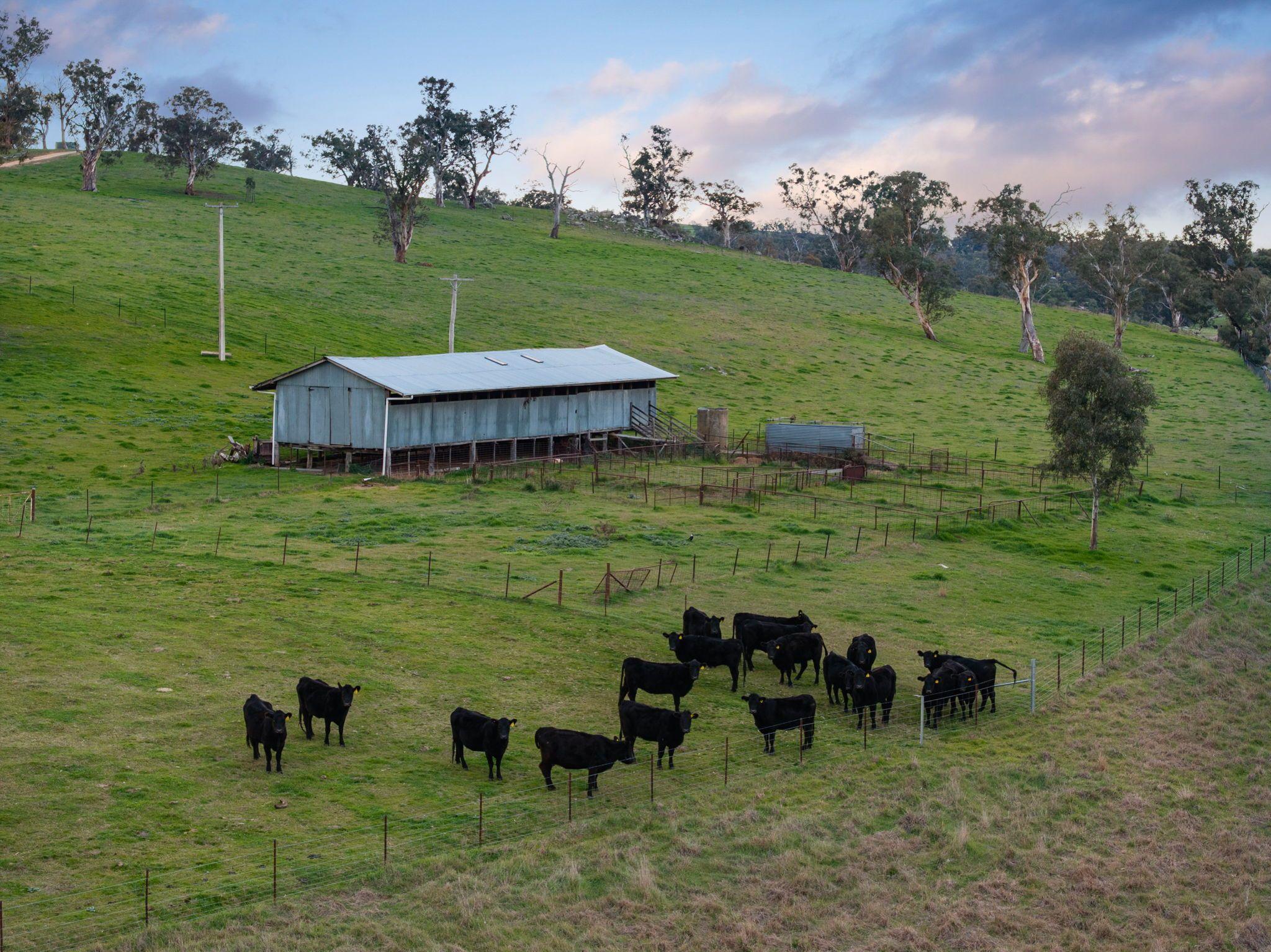 Rare 192* Acre Pocket of Paradise on Jugiong Creek