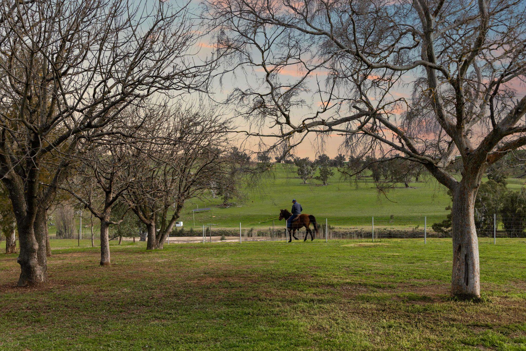 Rare 192* Acre Pocket of Paradise on Jugiong Creek