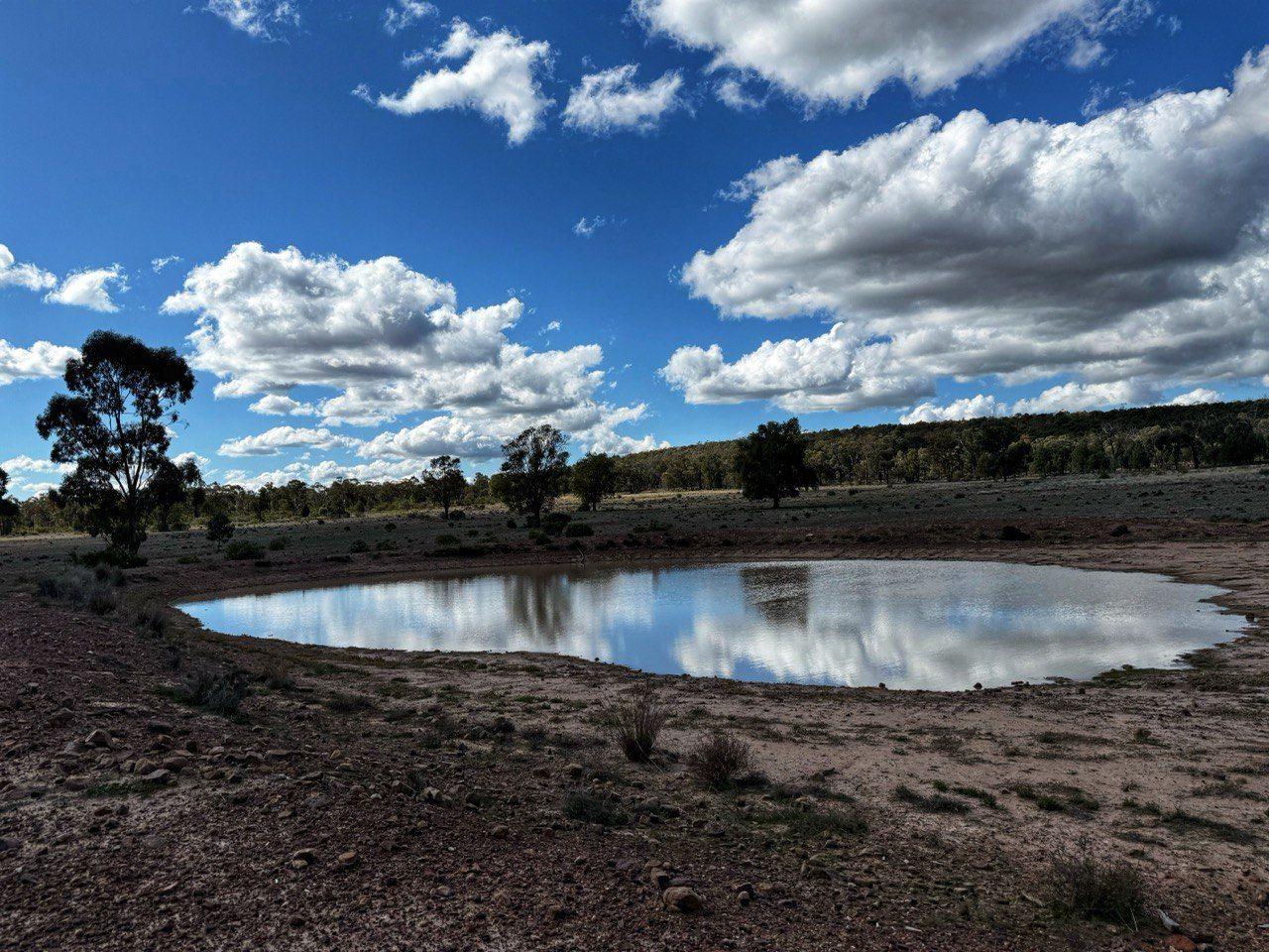 Private Rural Living with income Potential!