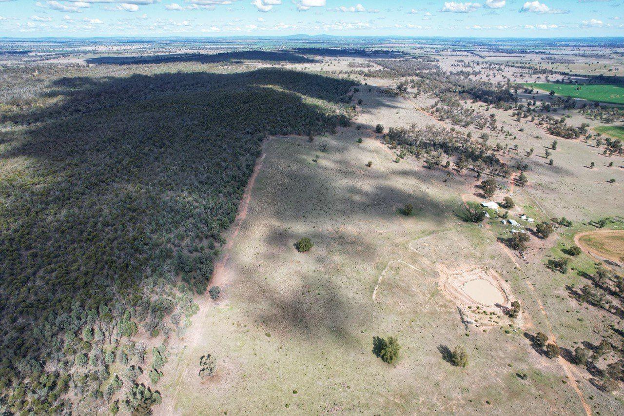 Private Rural Living with income Potential!