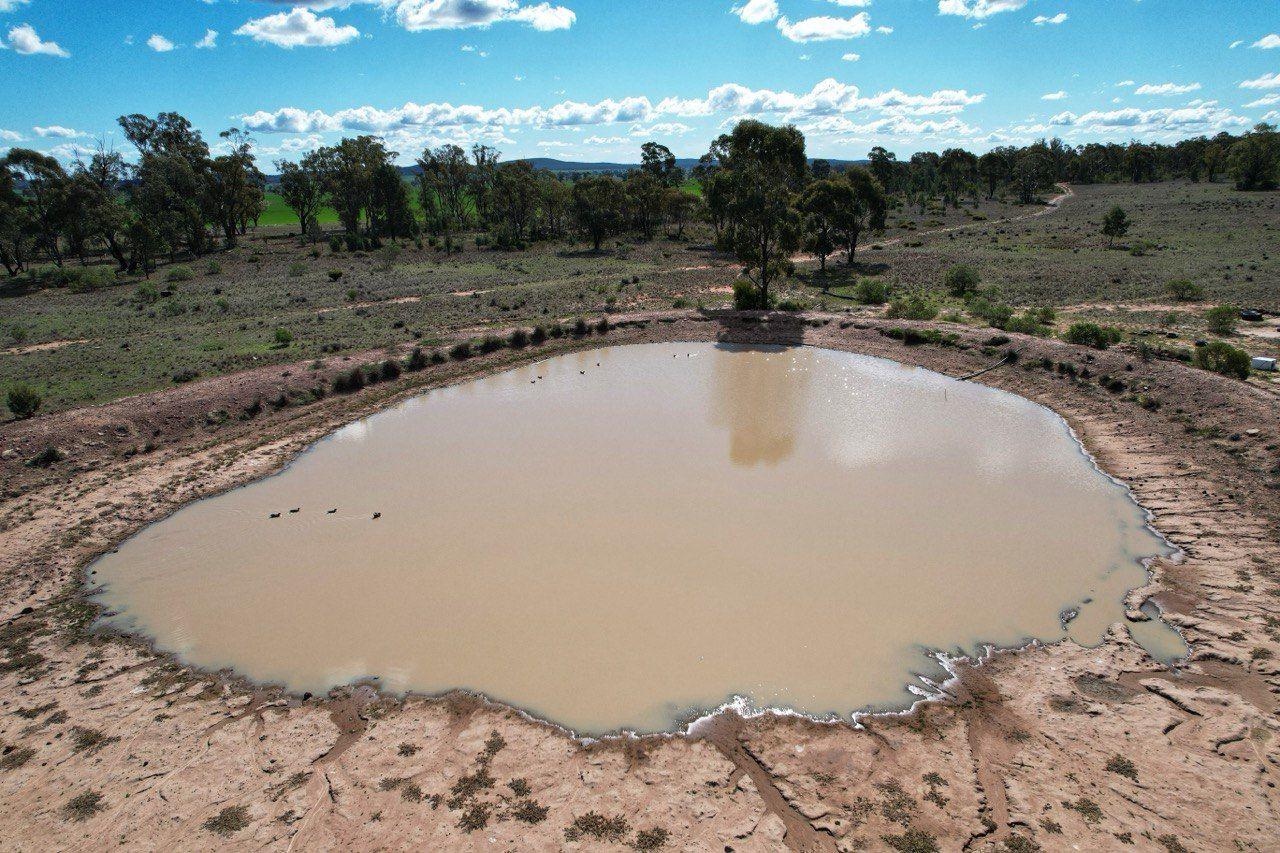 Private Rural Living with income Potential!