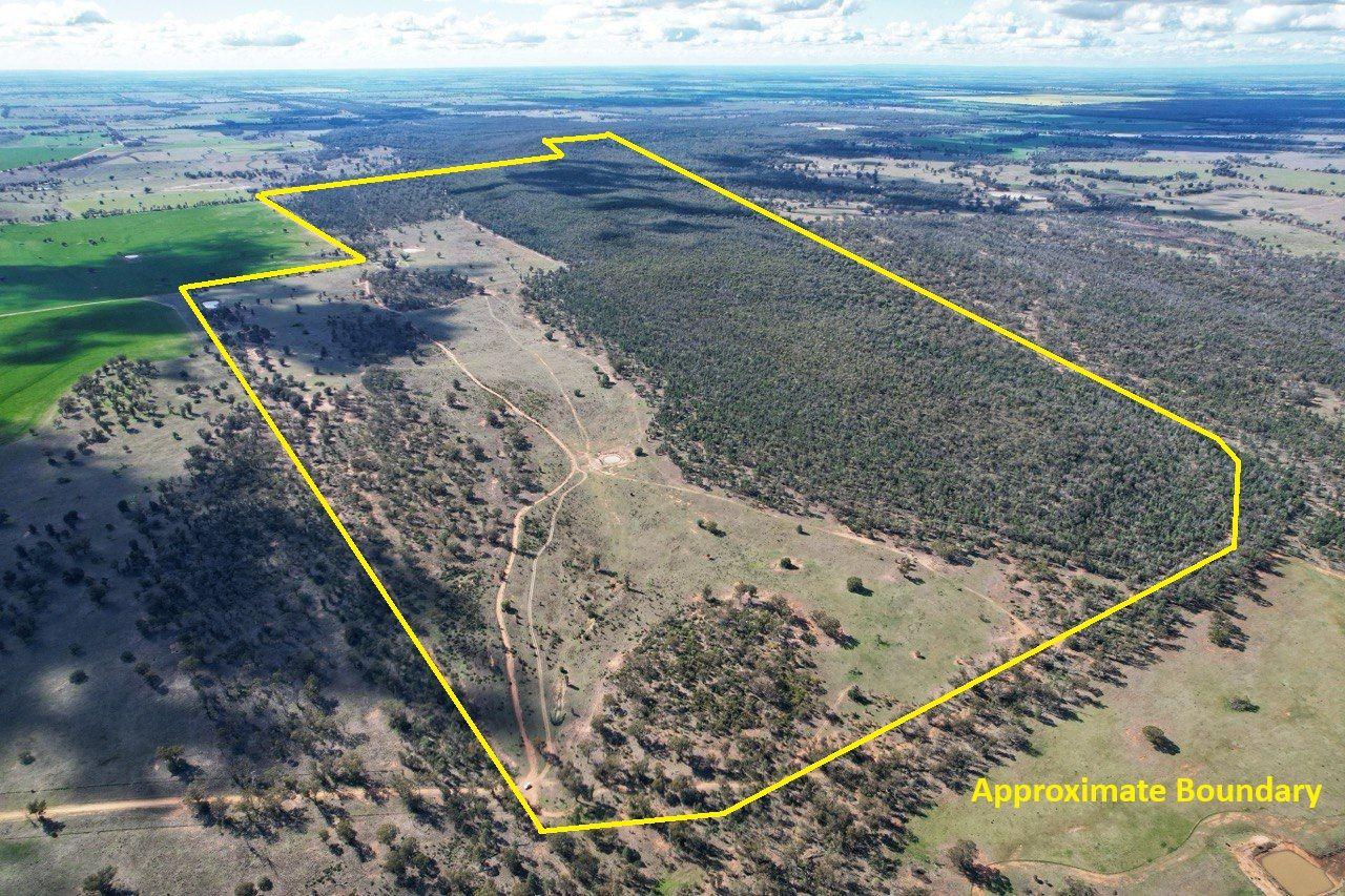 Private Rural Living with income Potential!