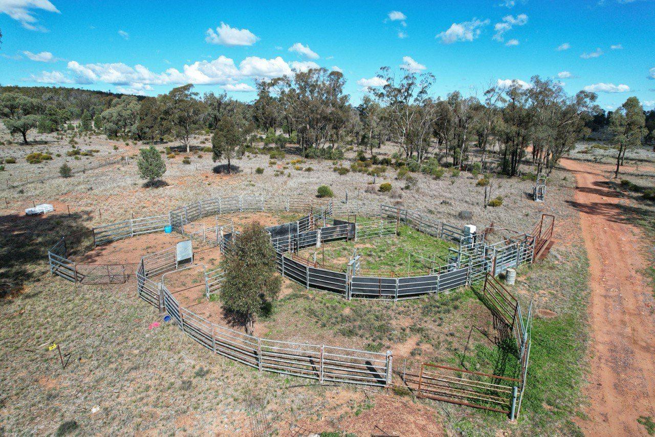 Private Rural Living with income Potential!