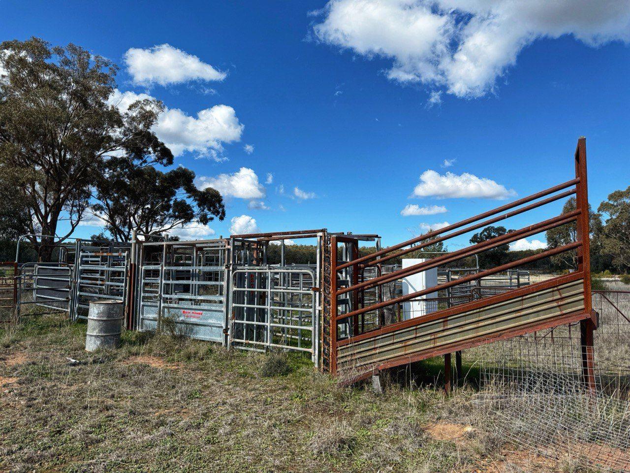 Private Rural Living with income Potential!