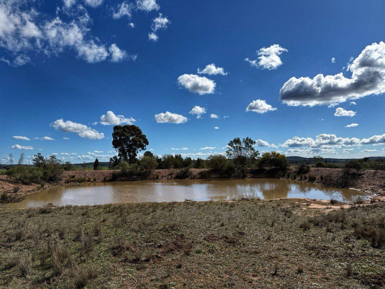 Private Rural Living with income Potential!