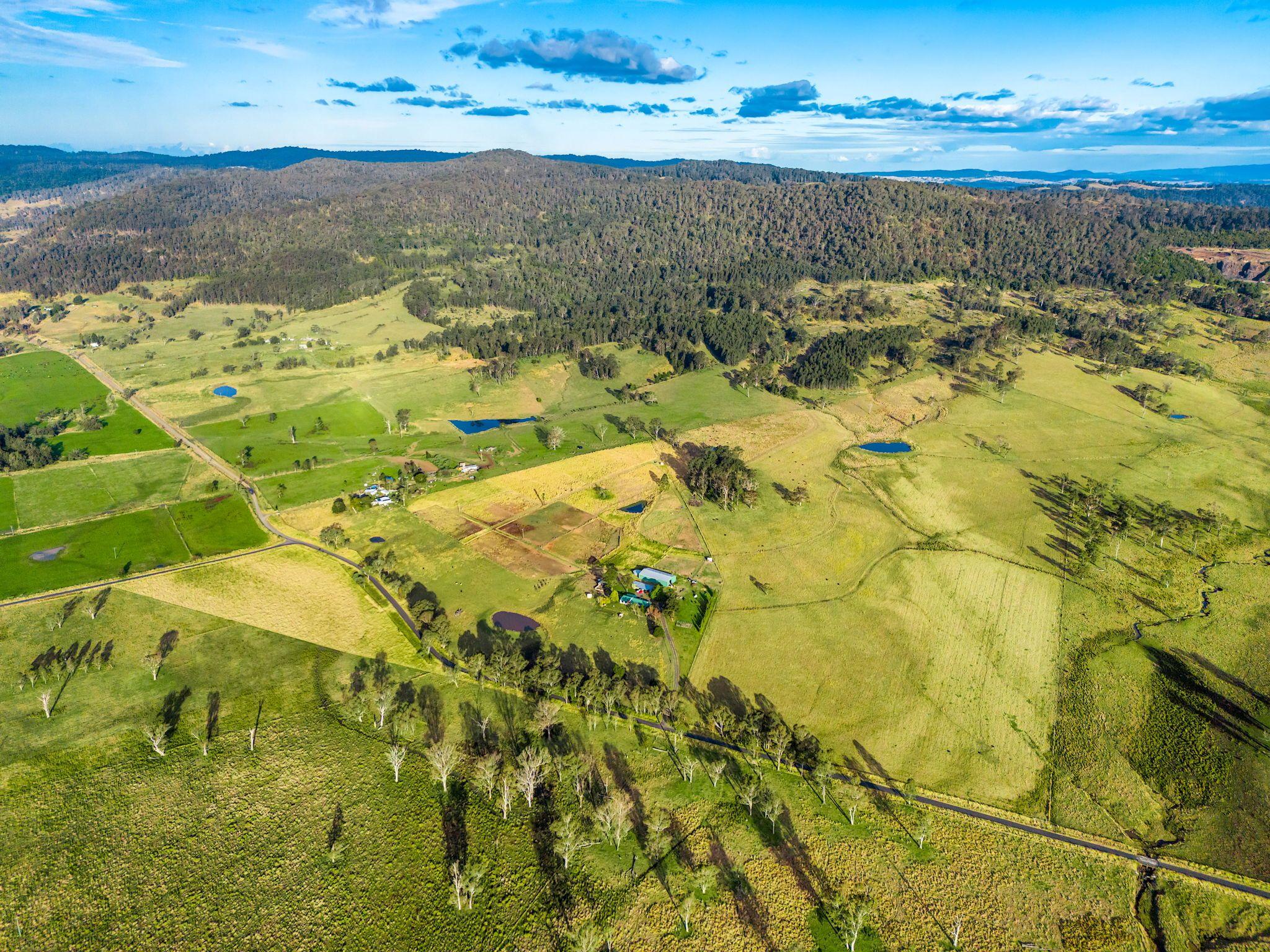 Organic & Biodynamic Lifestyle Farm