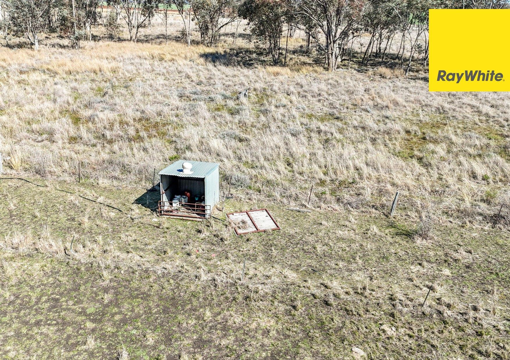 'Highly productive Delungra Property!'