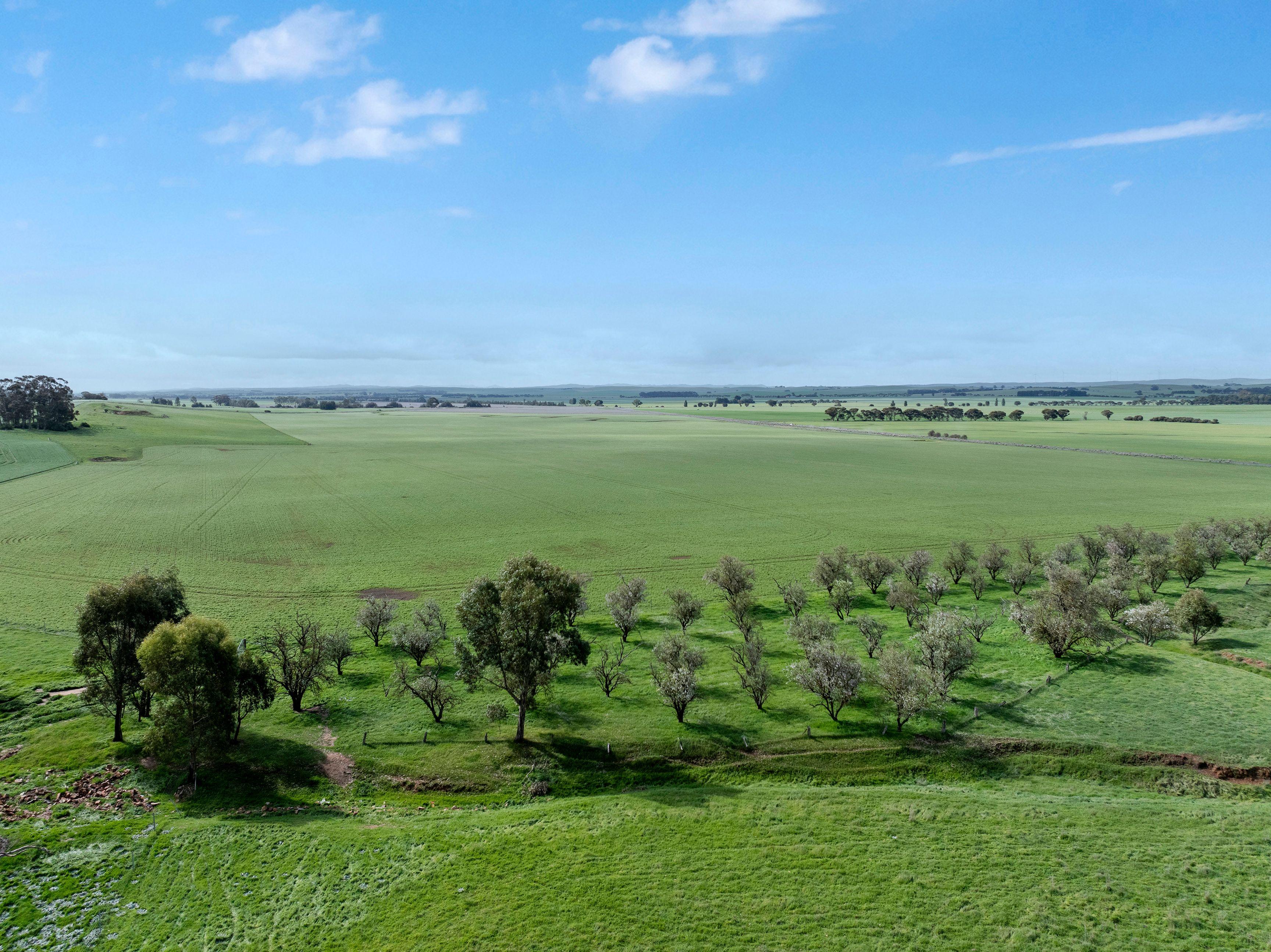 Prime Mixed Farming Opportunity in the Mid North