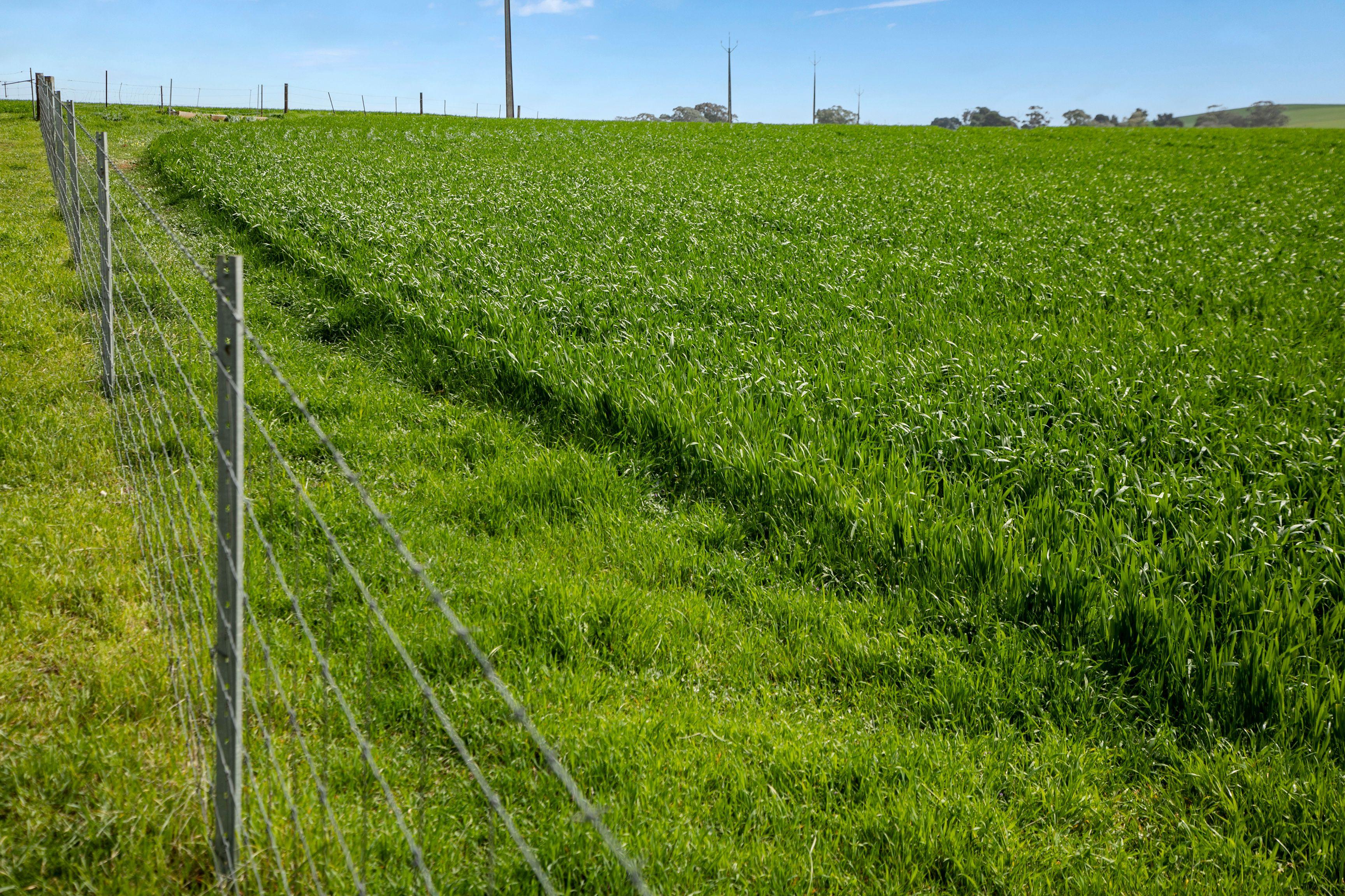 Prime Mixed Farming Opportunity in the Mid North