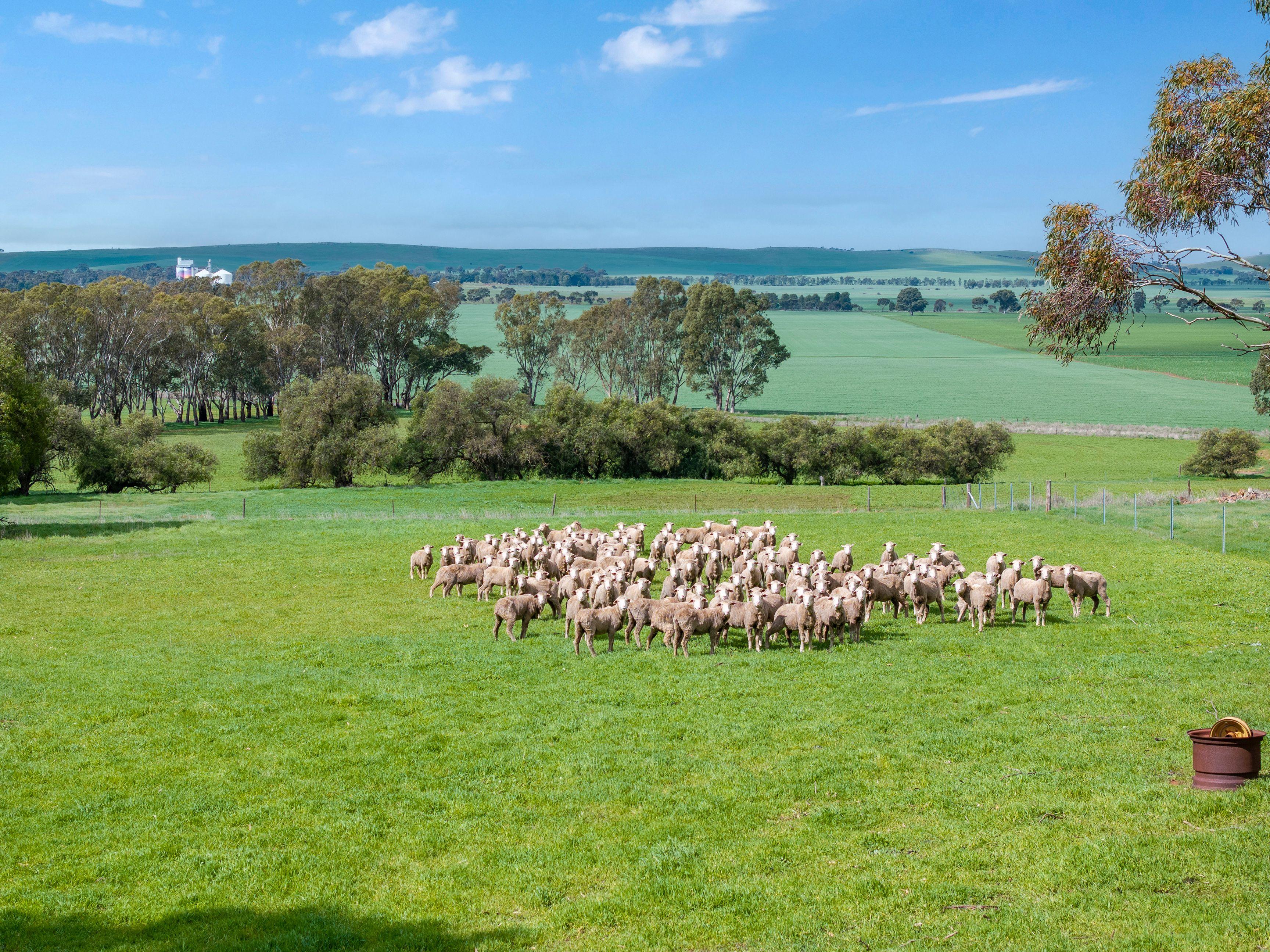 Prime Mixed Farming Opportunity in the Mid North