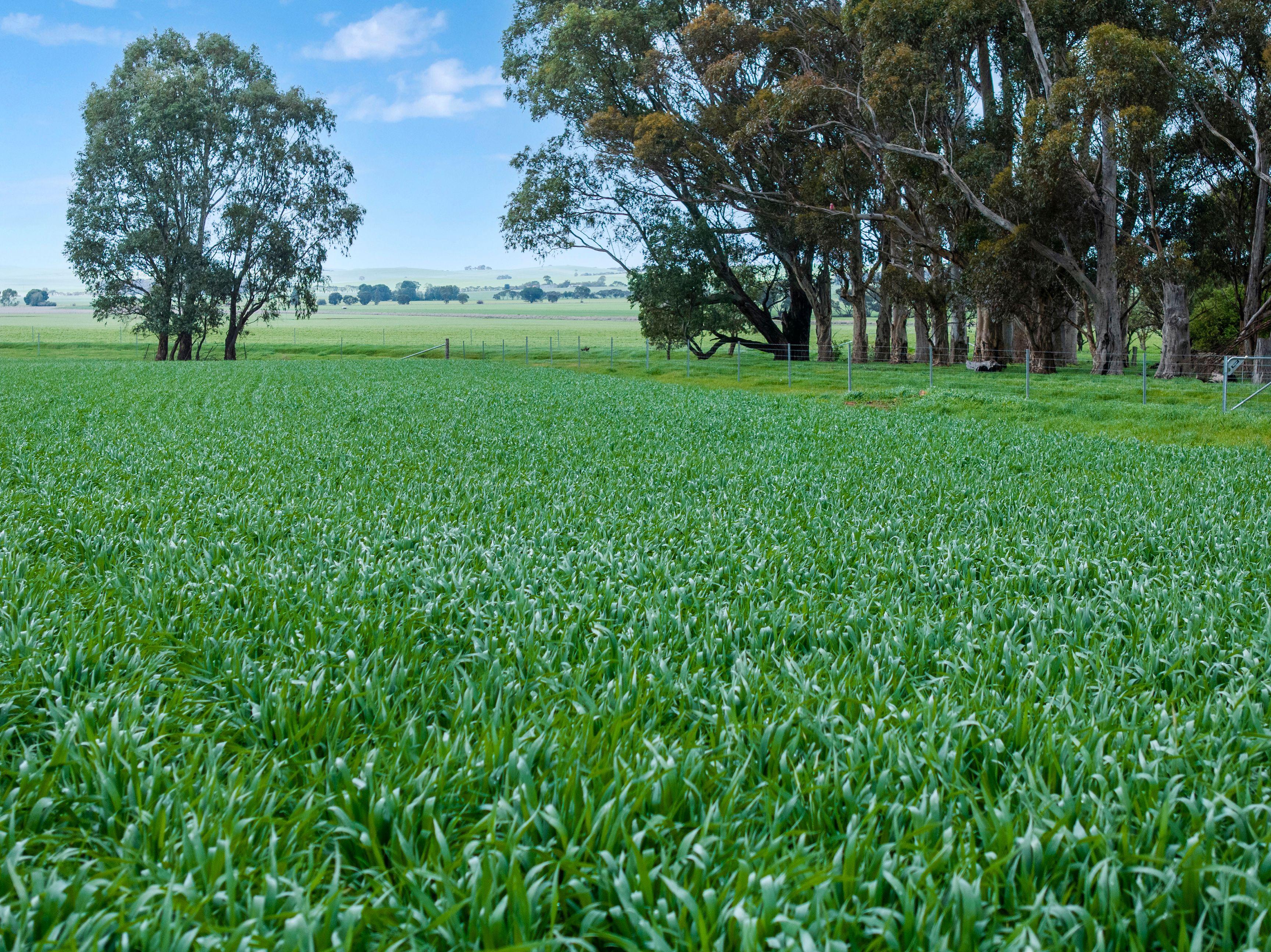 Prime Mixed Farming Opportunity in the Mid North