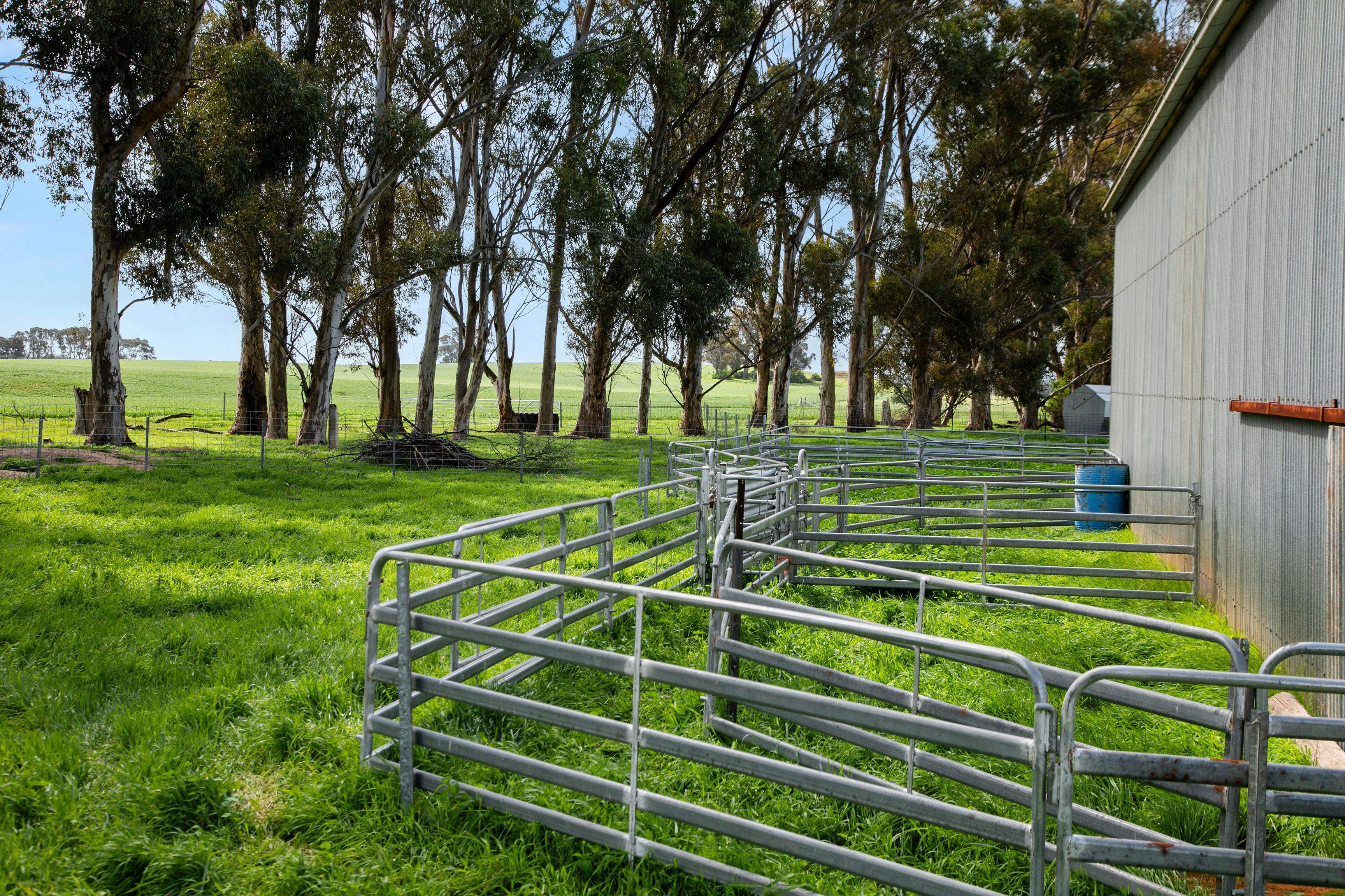 Prime Mixed Farming Opportunity in the Mid North