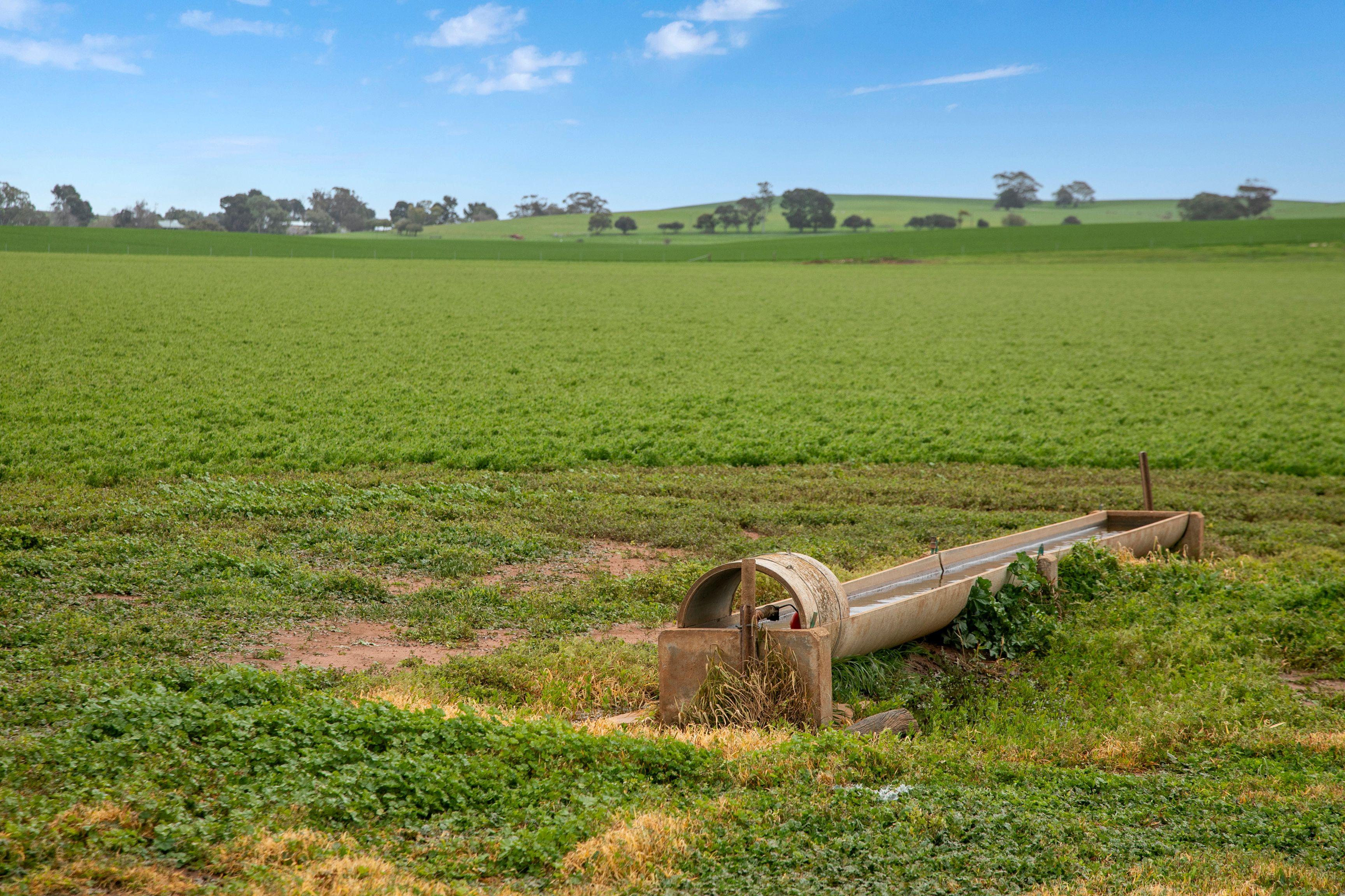 Prime Mixed Farming Opportunity in the Mid North