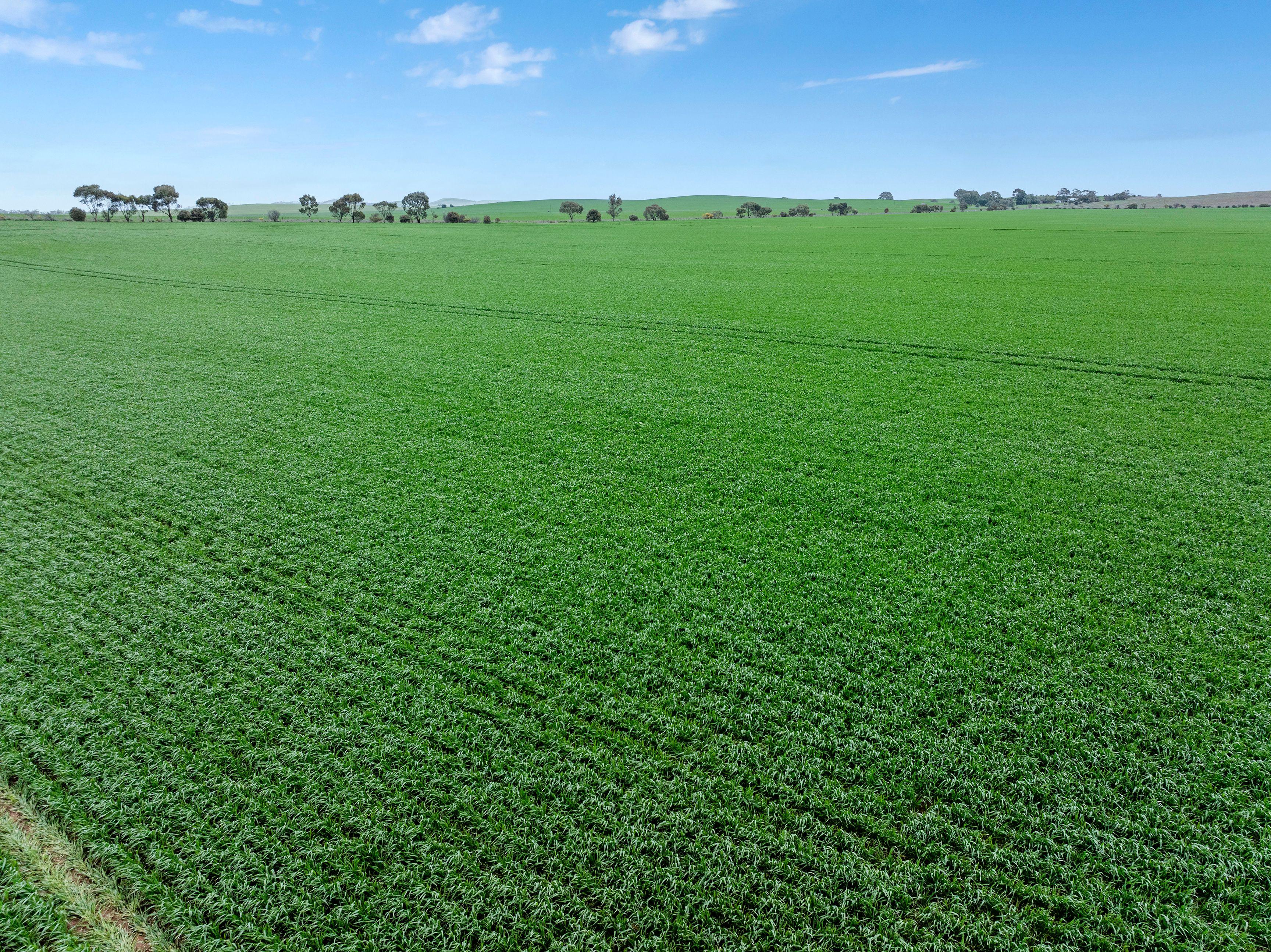 Prime Mixed Farming Opportunity in the Mid North
