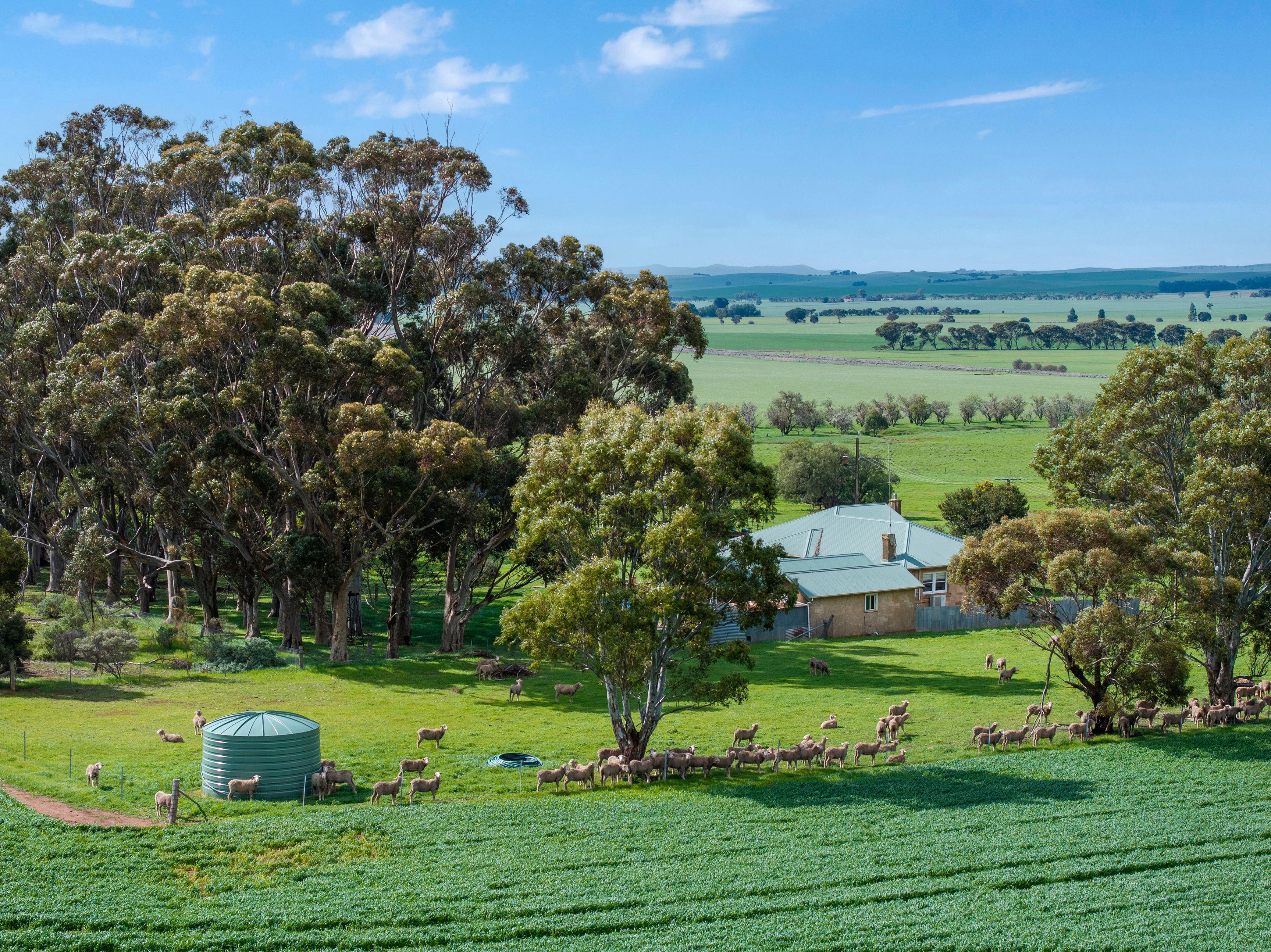 Prime Mixed Farming Opportunity in the Mid North