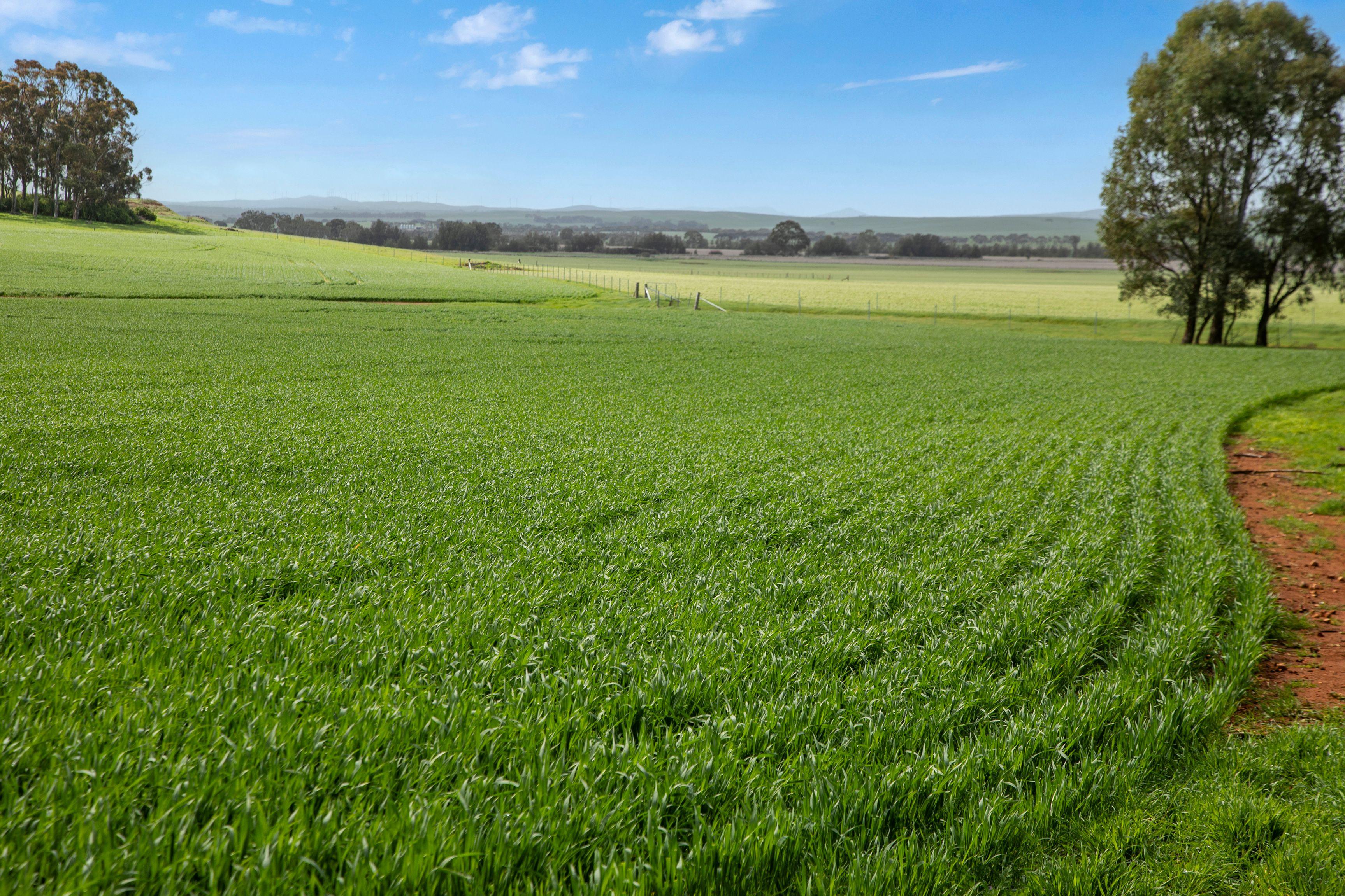 Prime Mixed Farming Opportunity in the Mid North