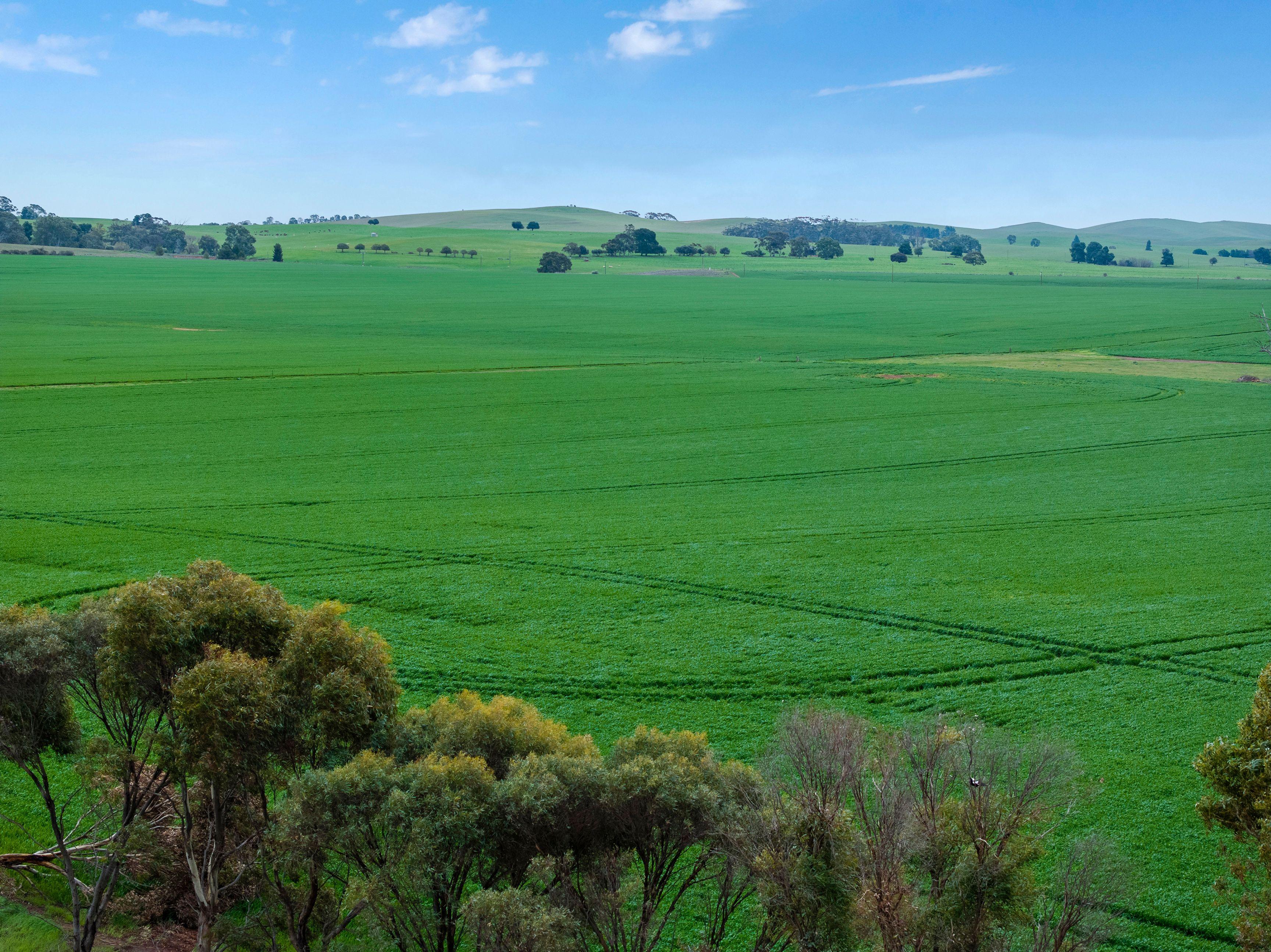 Prime Mixed Farming Opportunity in the Mid North