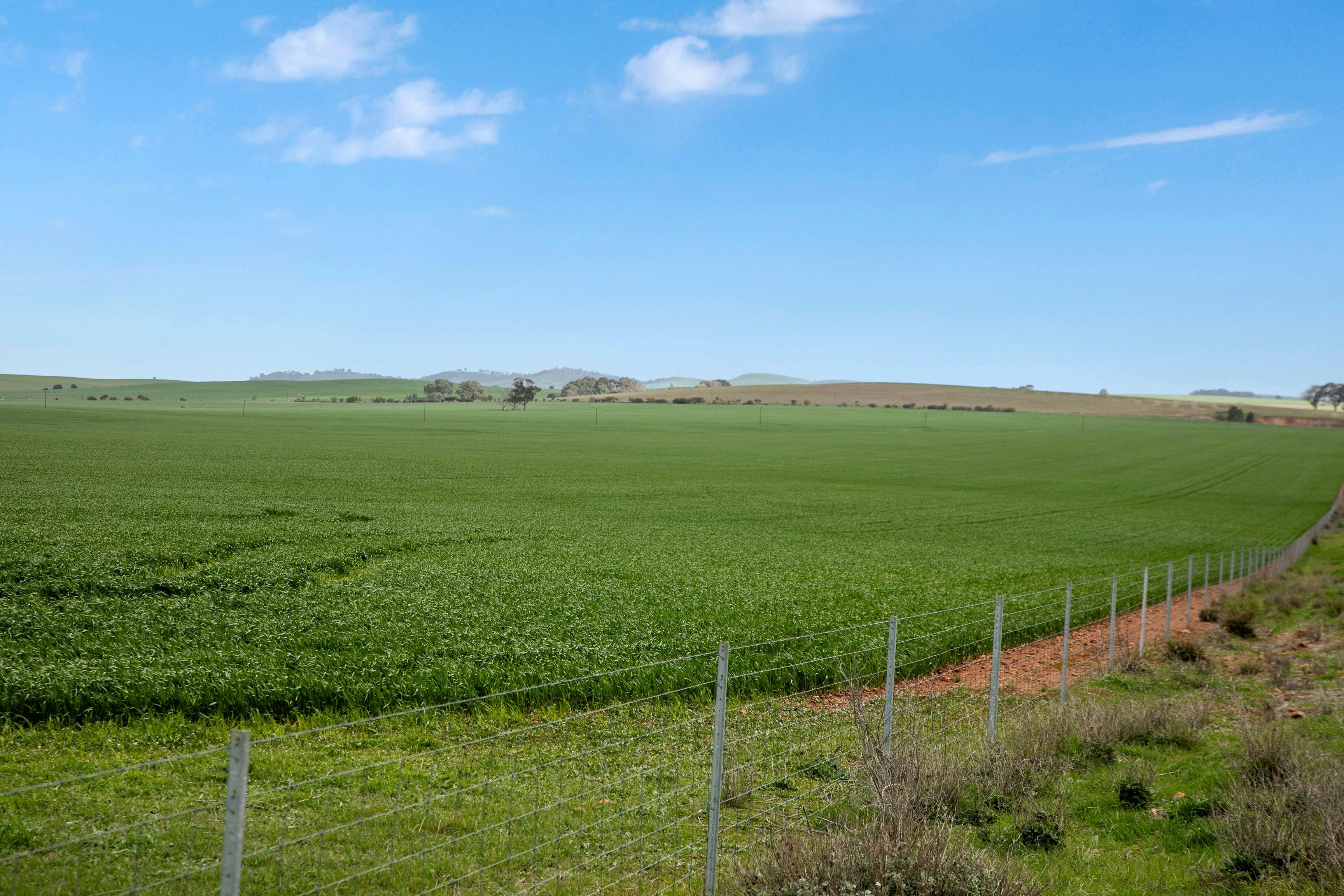 Prime Mixed Farming Opportunity in the Mid North