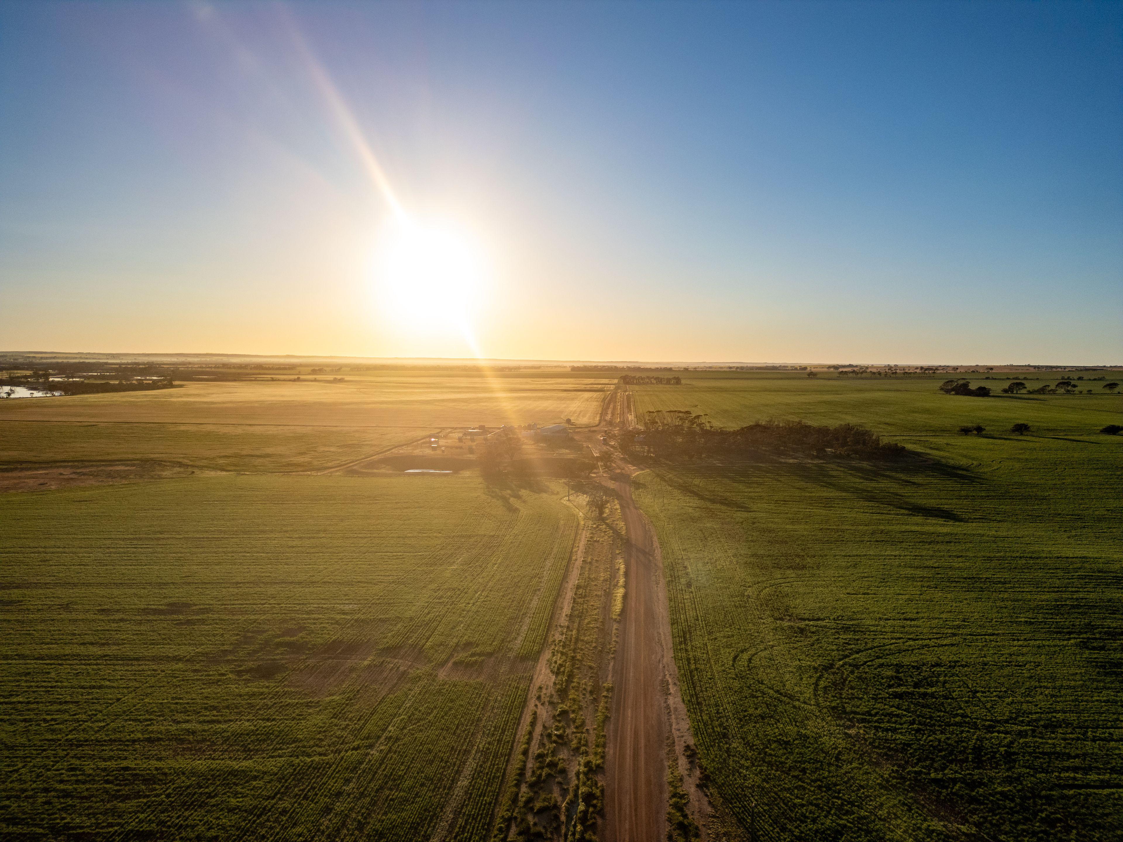 Prop-GPT: Cropping: WA North Lake Grace, WA 6353 Rural