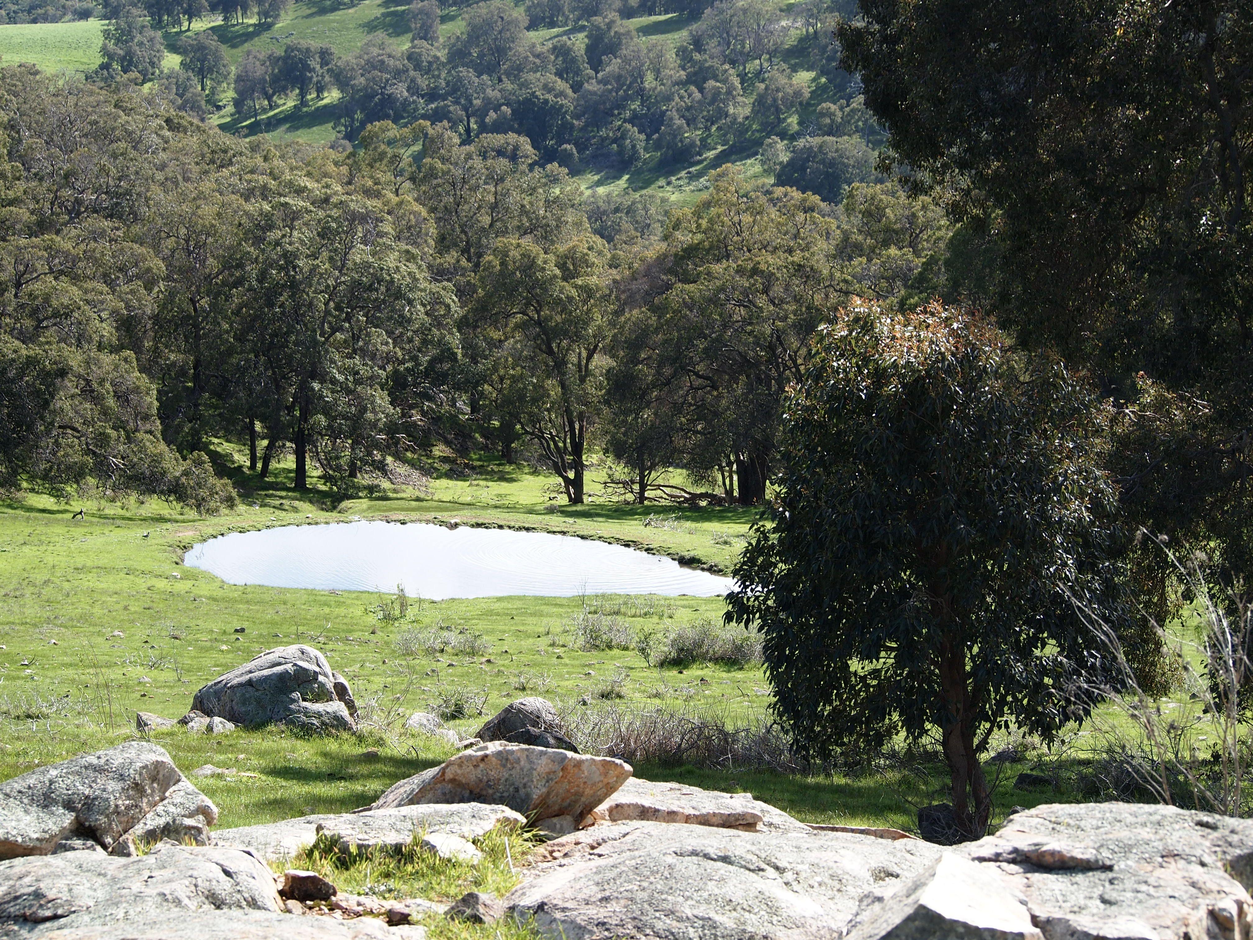 Robinswood Follow, Jarrahdale - picturesque property only 1 hour from Perth