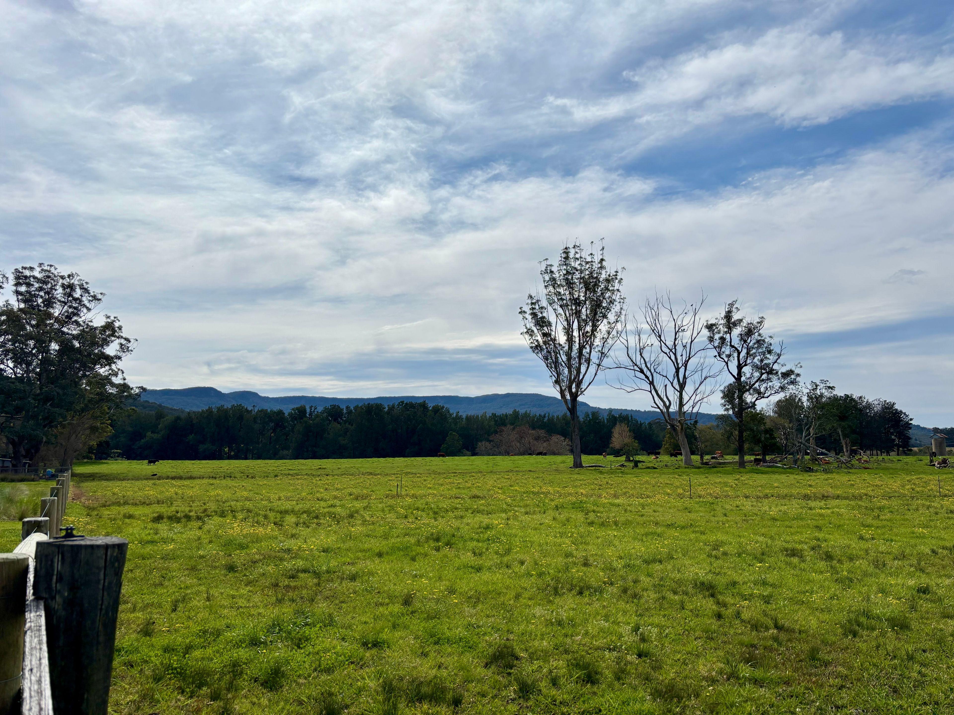 Other for Rent: Berry, NSW 2535, NSW, 2535