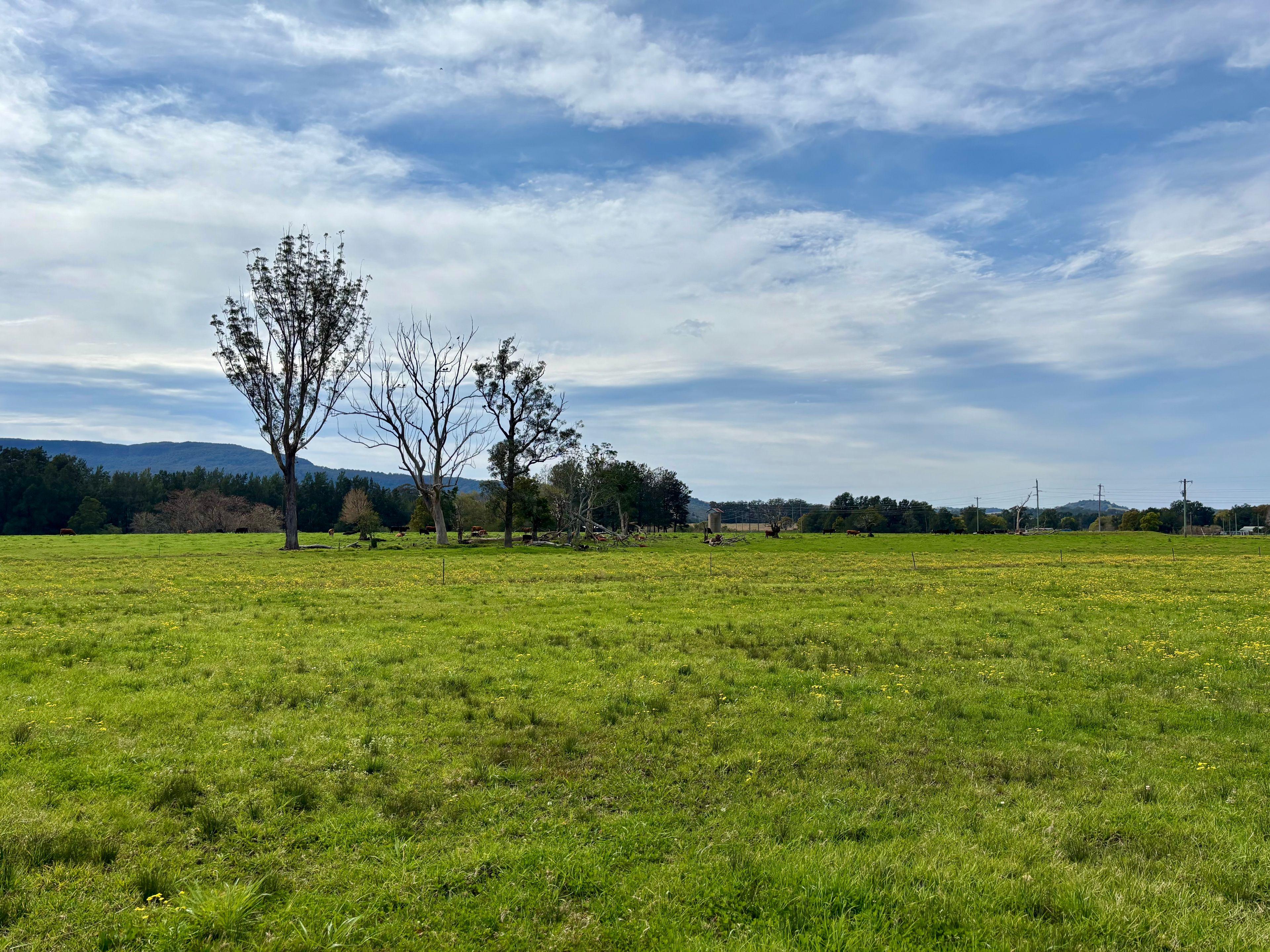 Other for Rent: Berry, NSW 2535, NSW, 2535