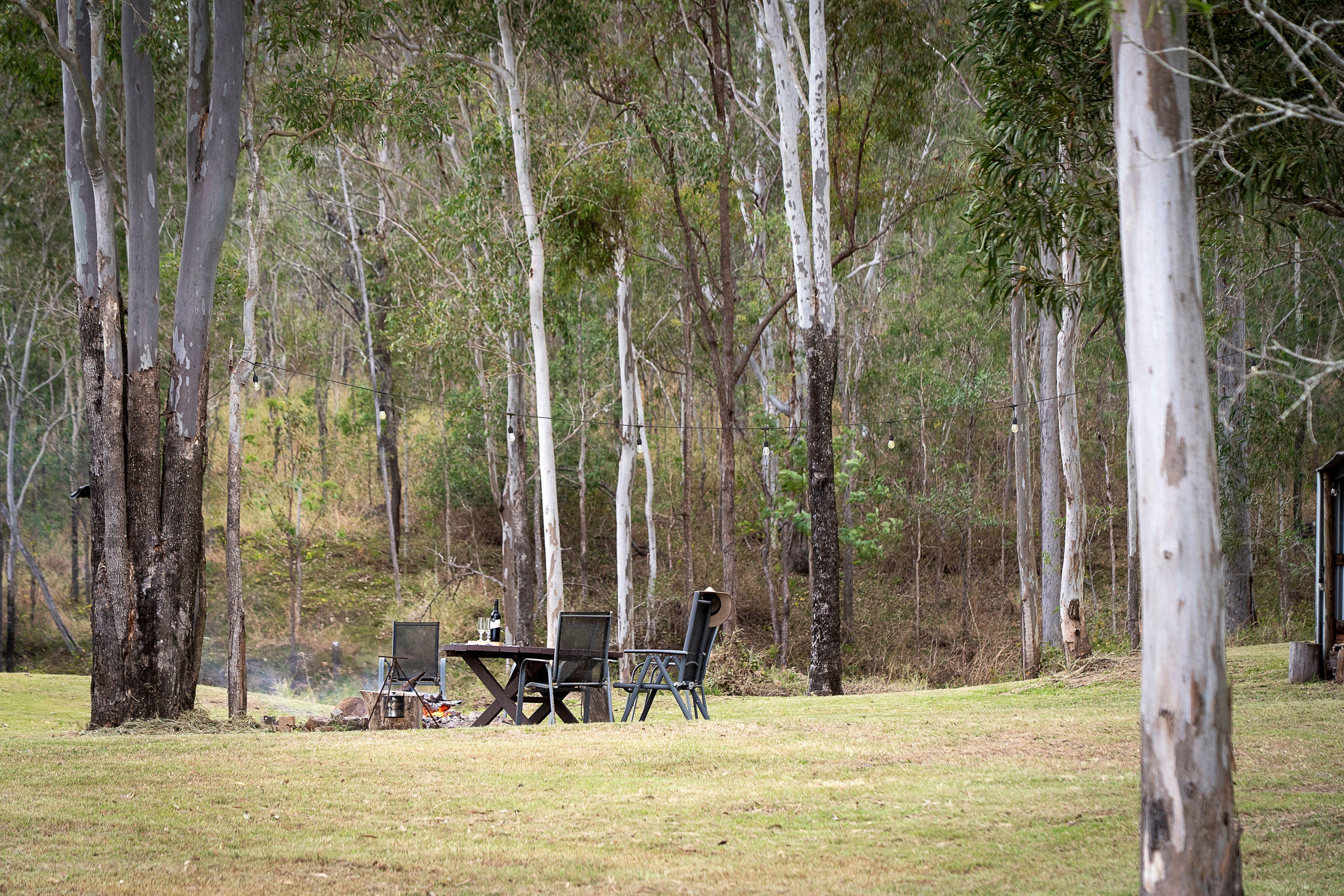 The Ultimate Rural Retreat - 24.5 acres of Privacy, Breathtaking Sunsets, Wildlife and Mountain Views