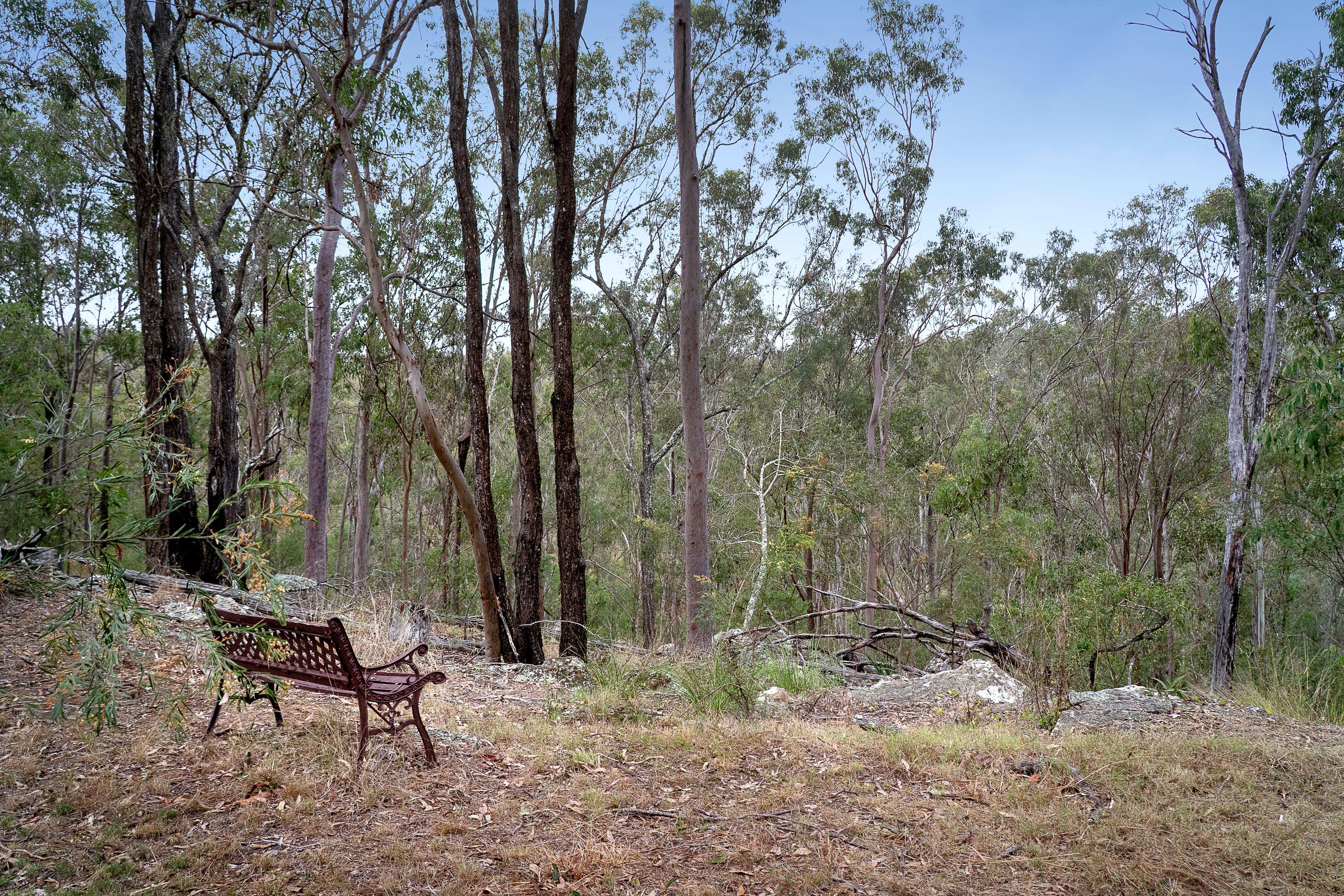 The Ultimate Rural Retreat - 24.5 acres of Privacy, Breathtaking Sunsets, Wildlife and Mountain Views