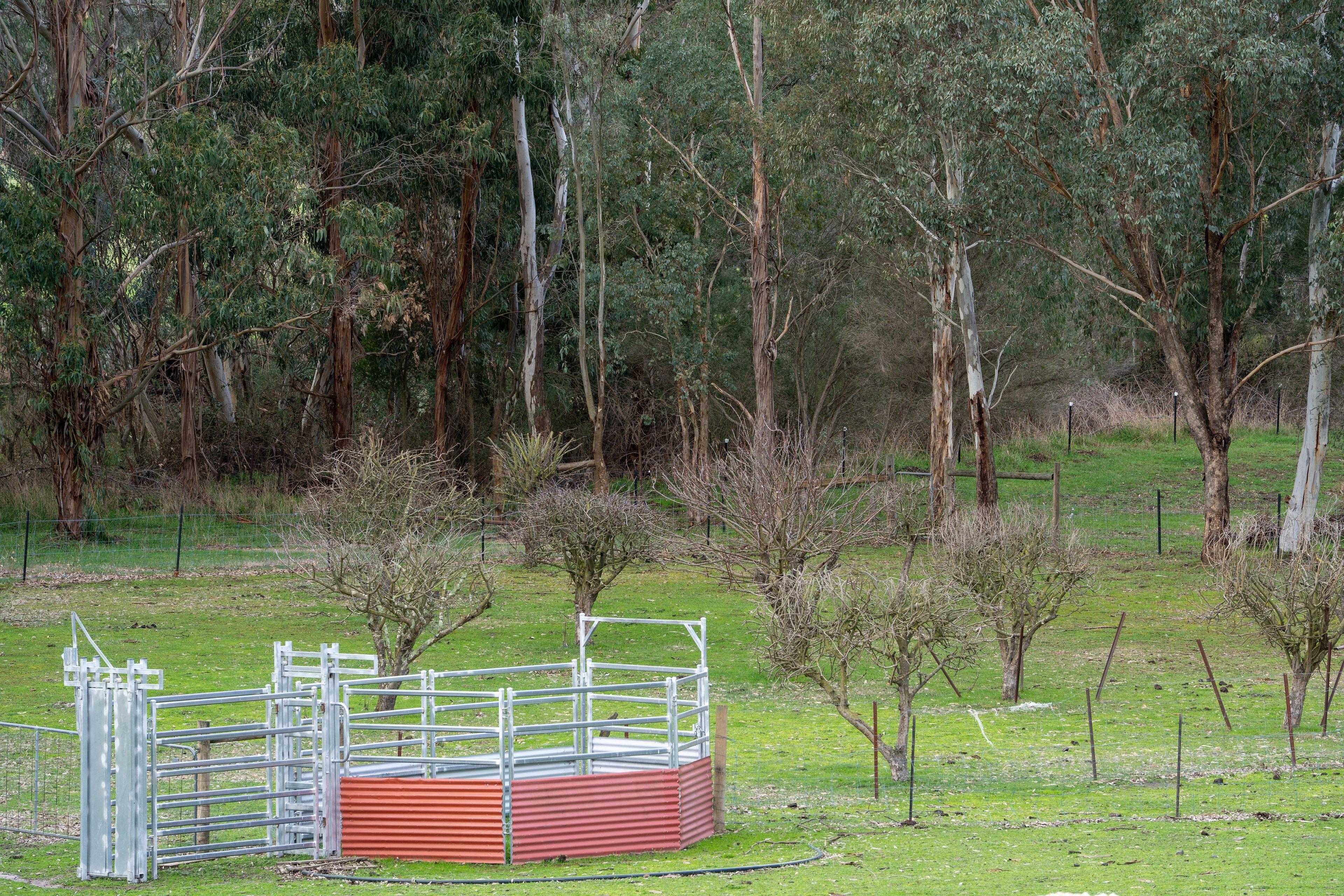The Rural Dream You've Been Waiting For