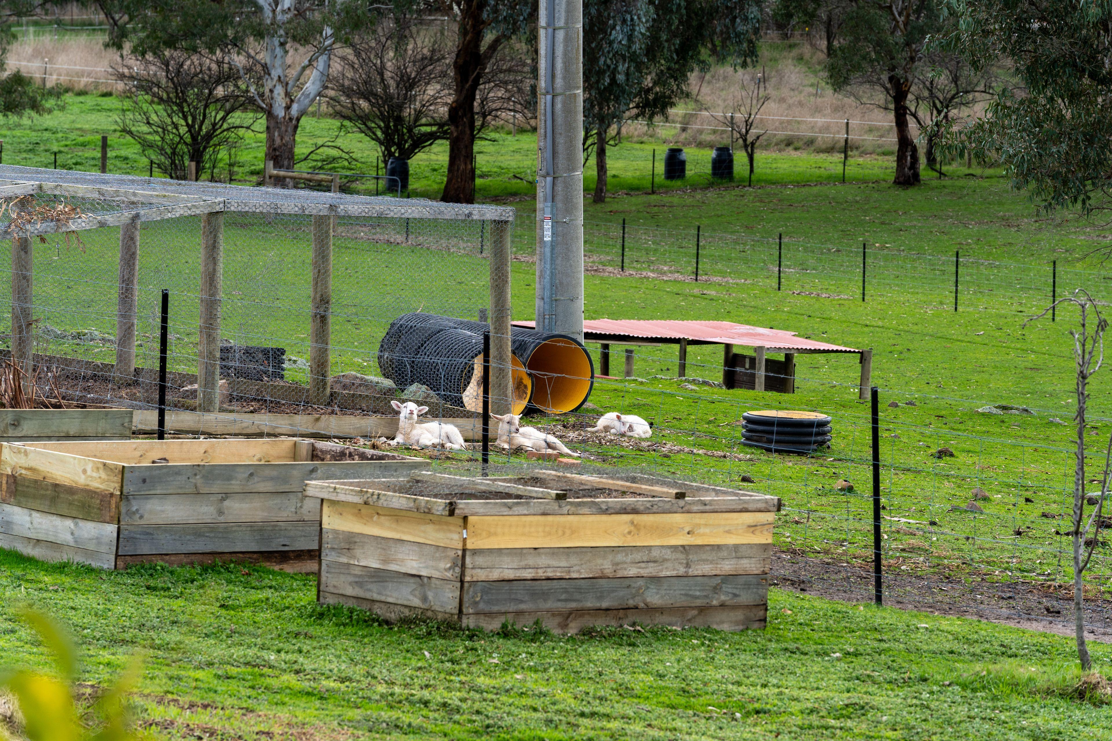 The Rural Dream You've Been Waiting For