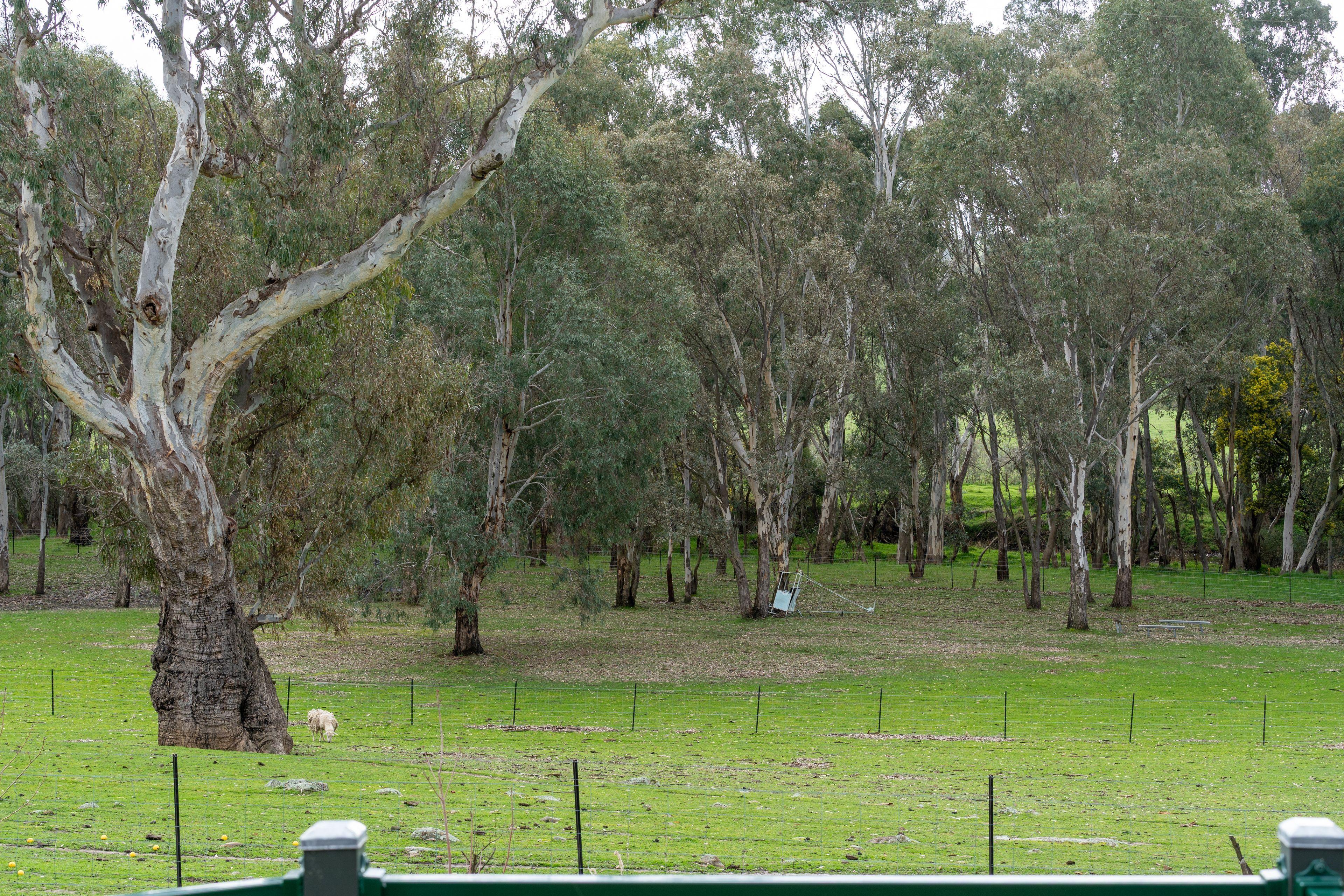 The Rural Dream You've Been Waiting For