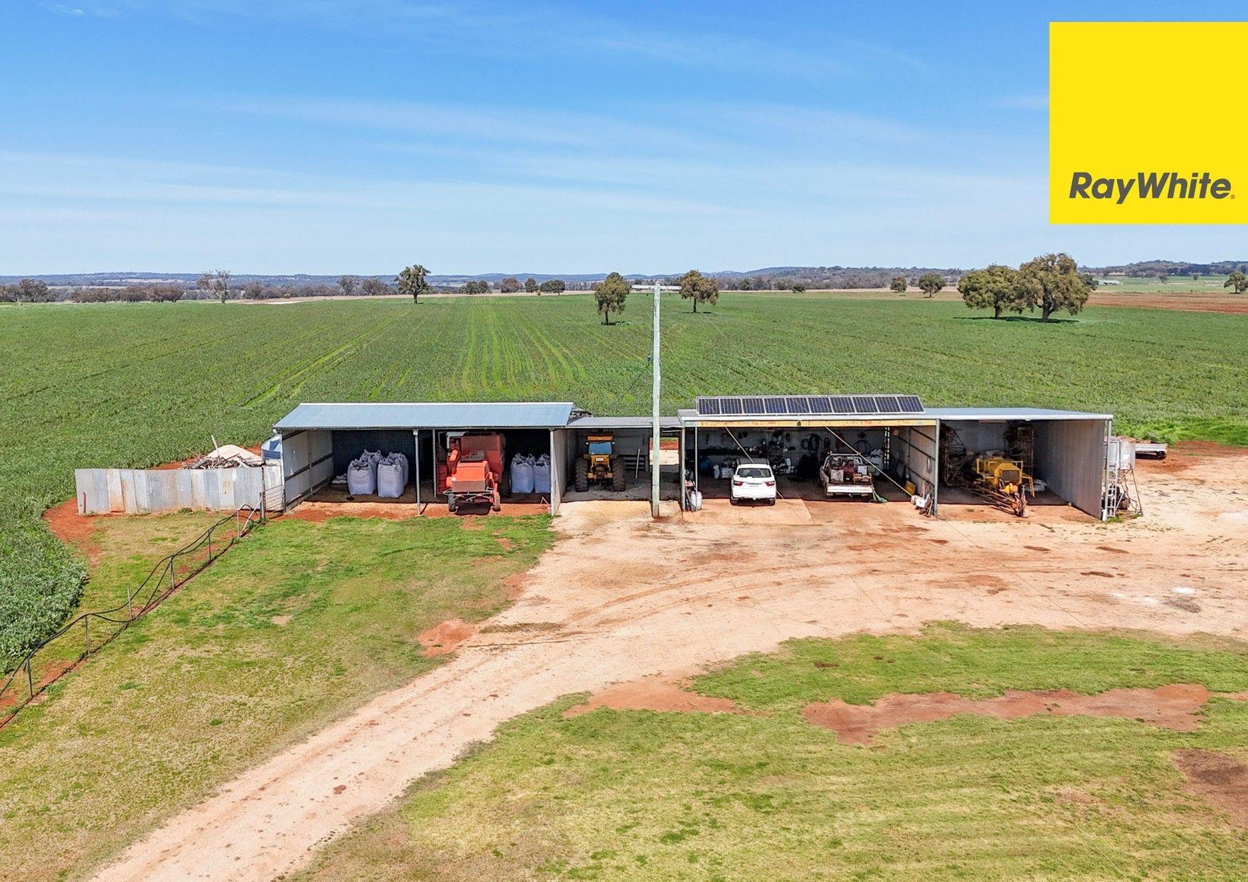 Highly Sought-after, Productive and Reliable!