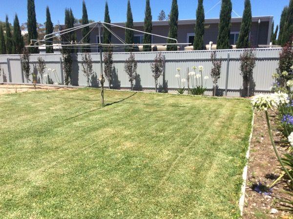 House for Rent: Wallaroo, SA 5556, SA, 5556