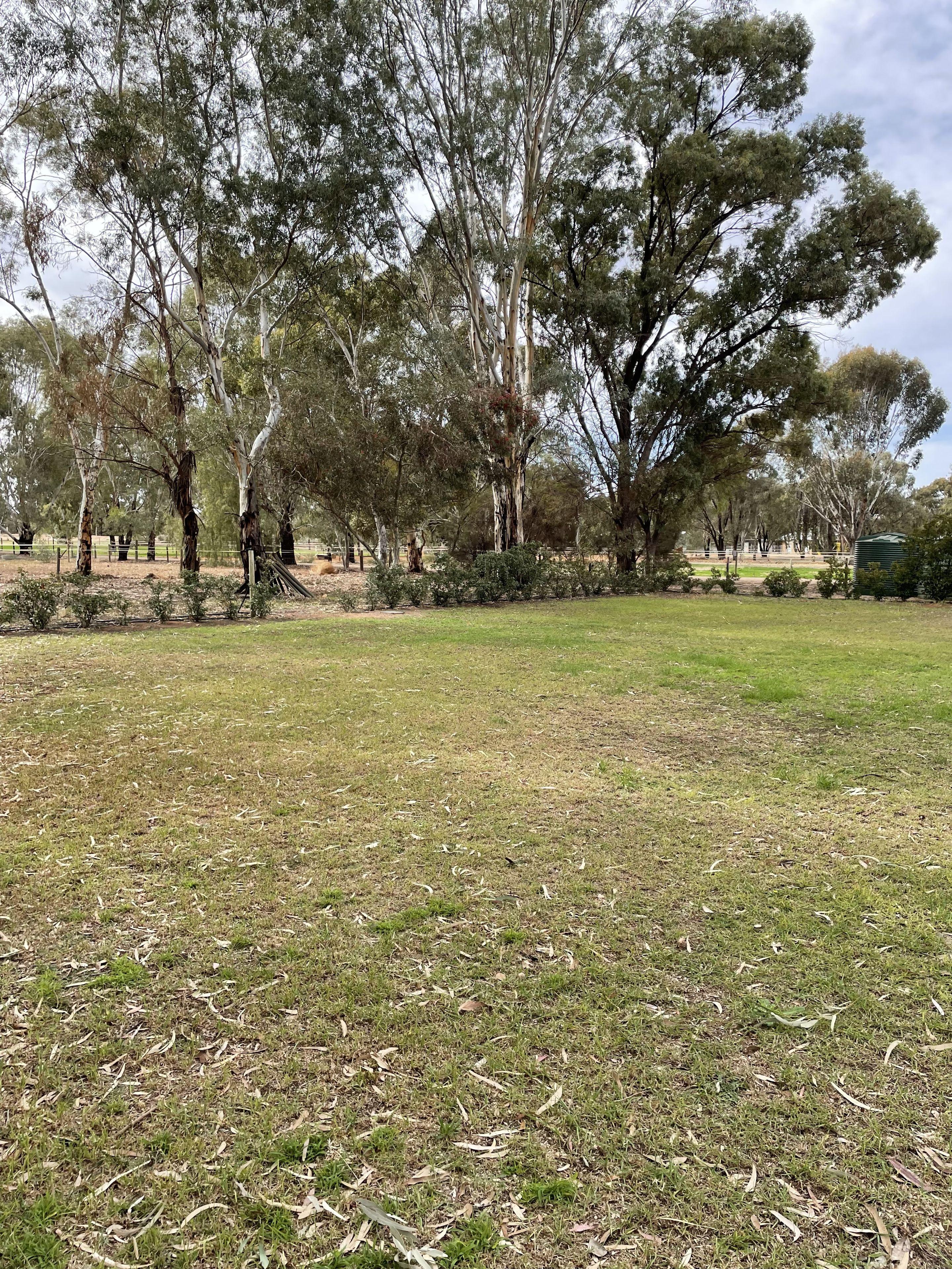 House for Rent: Renmark, SA 5341, SA, 5341