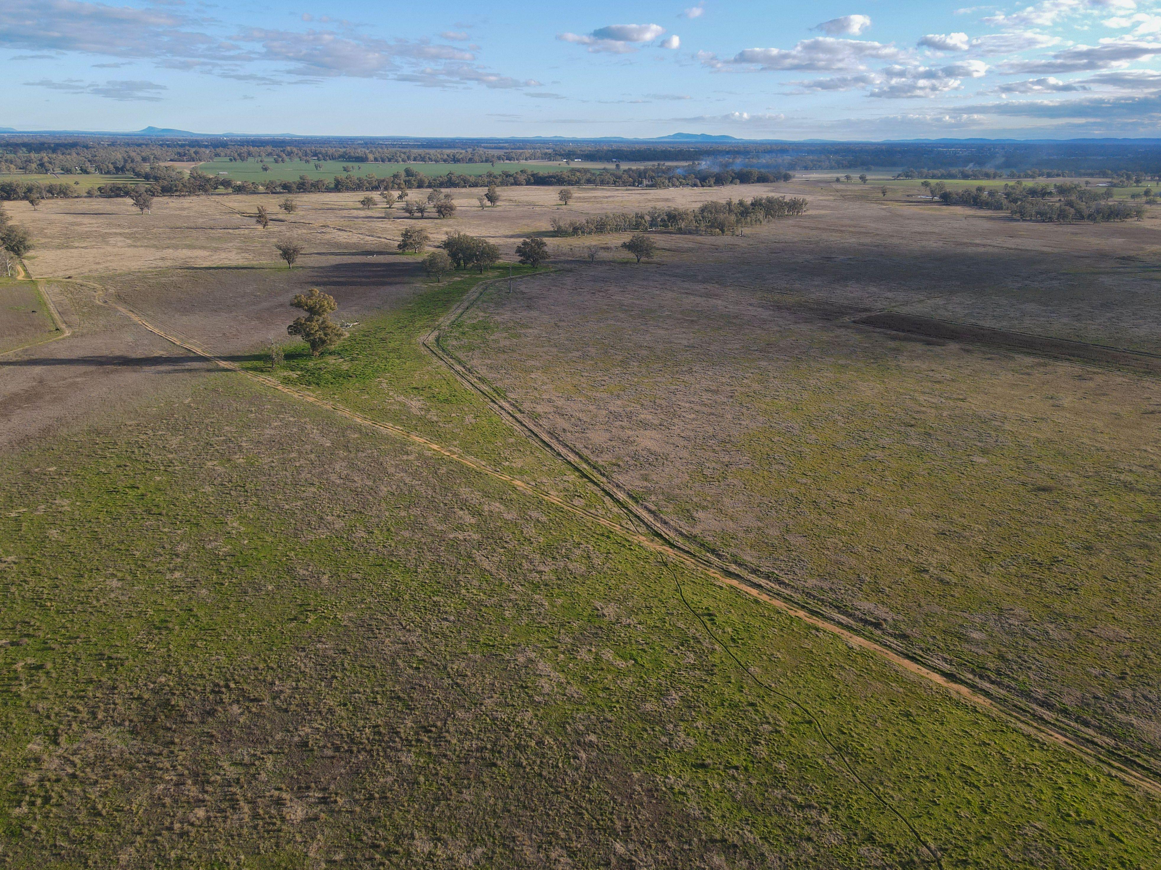 Part Troubalgie, 350 Acres - Forbes, NSW